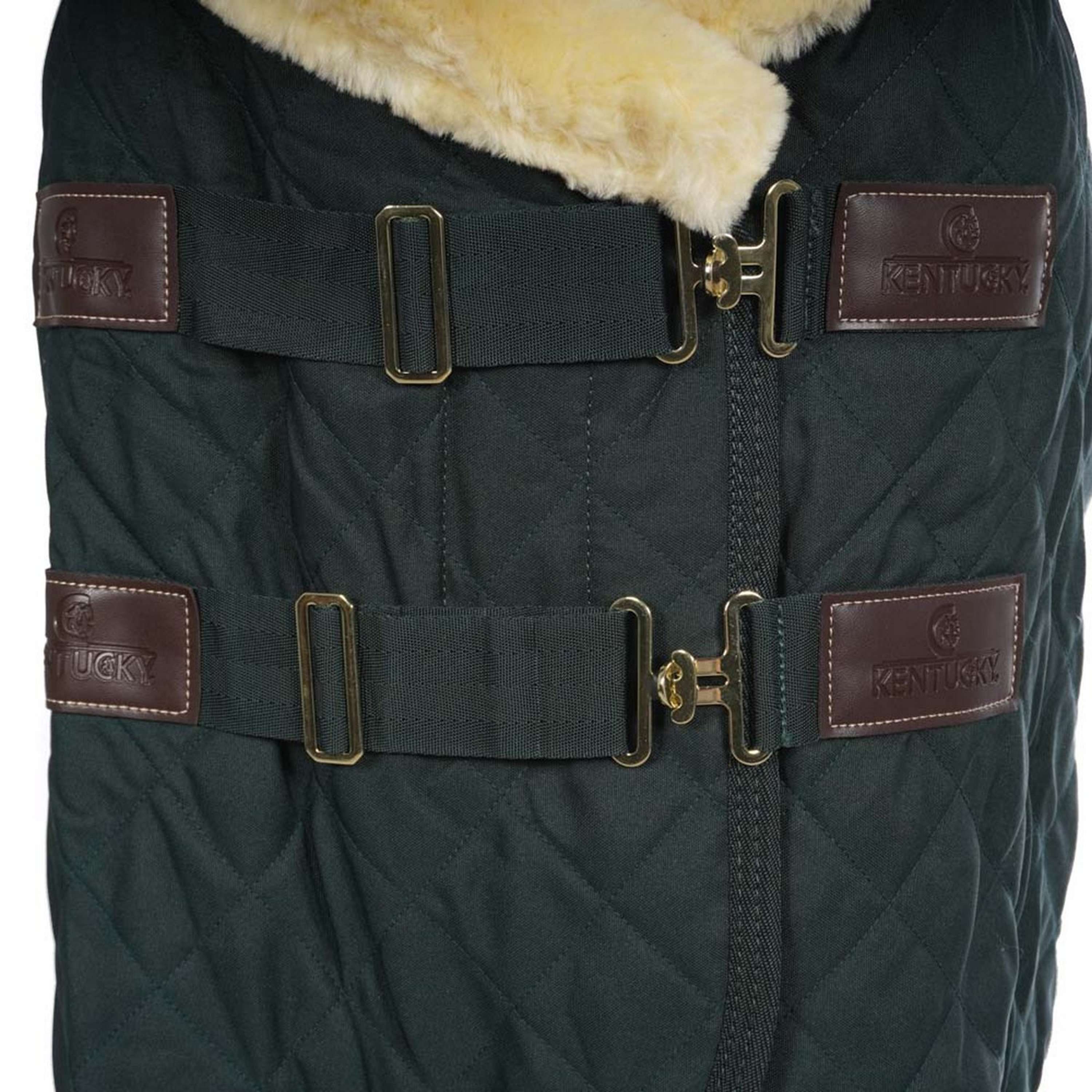 Kentucky Horsewear Coperta da esposizione Verde scuro - Image 6