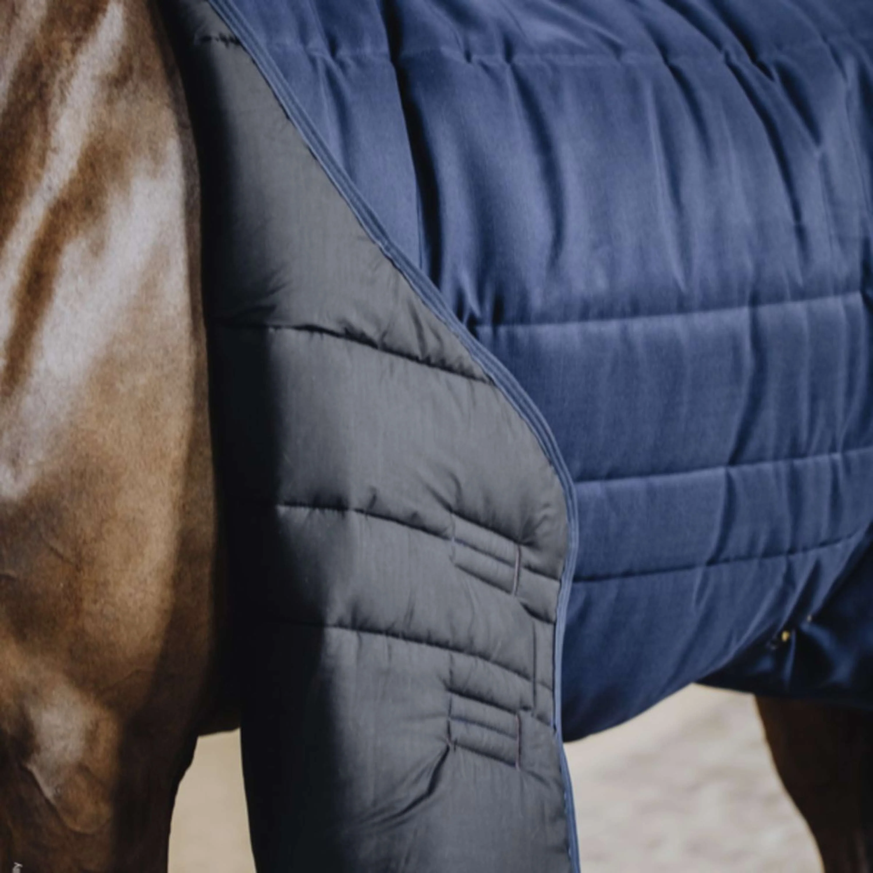 Kentucky Horsewear Coperta da scuderia Classic 300 g Navy - Image 6