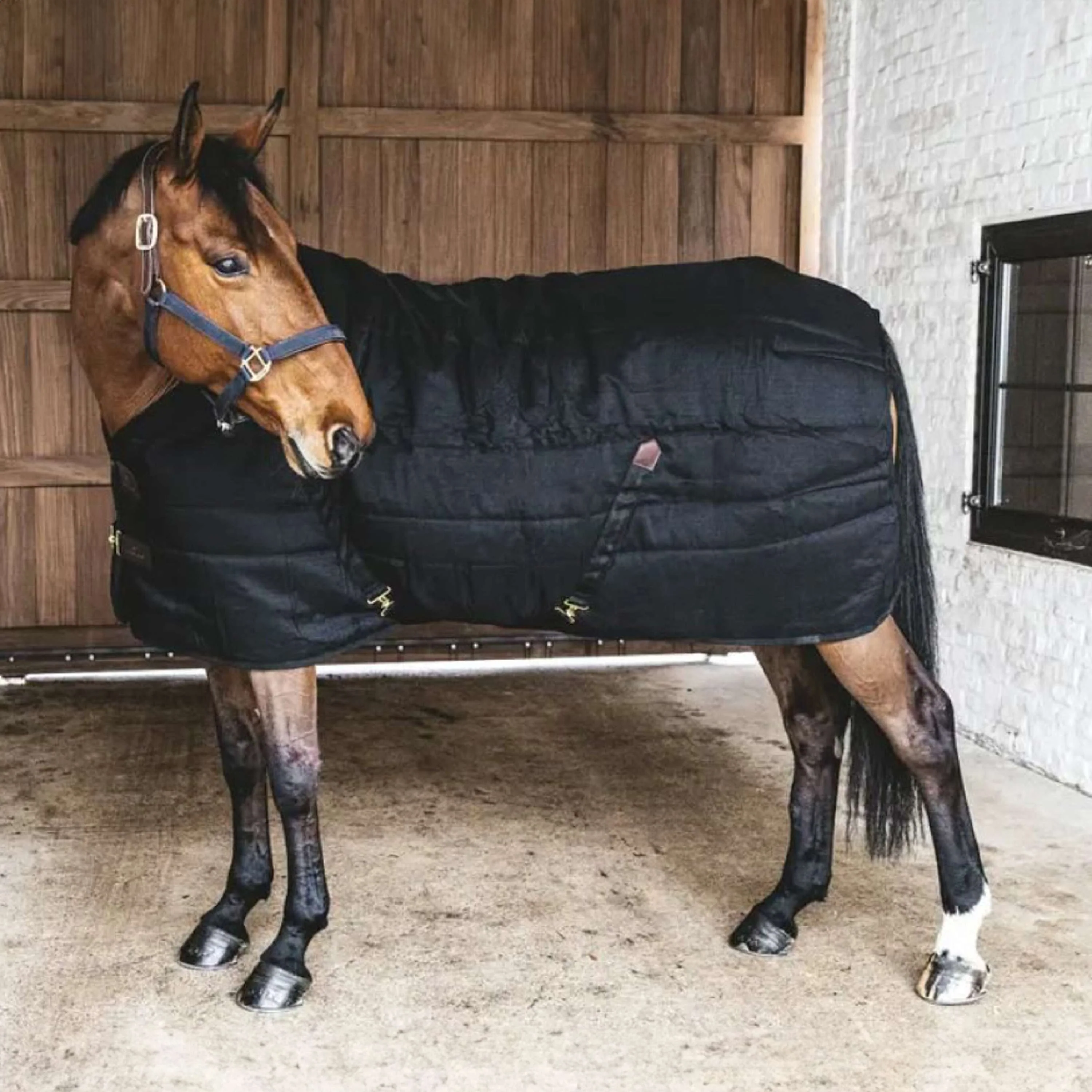 Kentucky Horsewear Coperta da scuderia Classic Nero - Image 12
