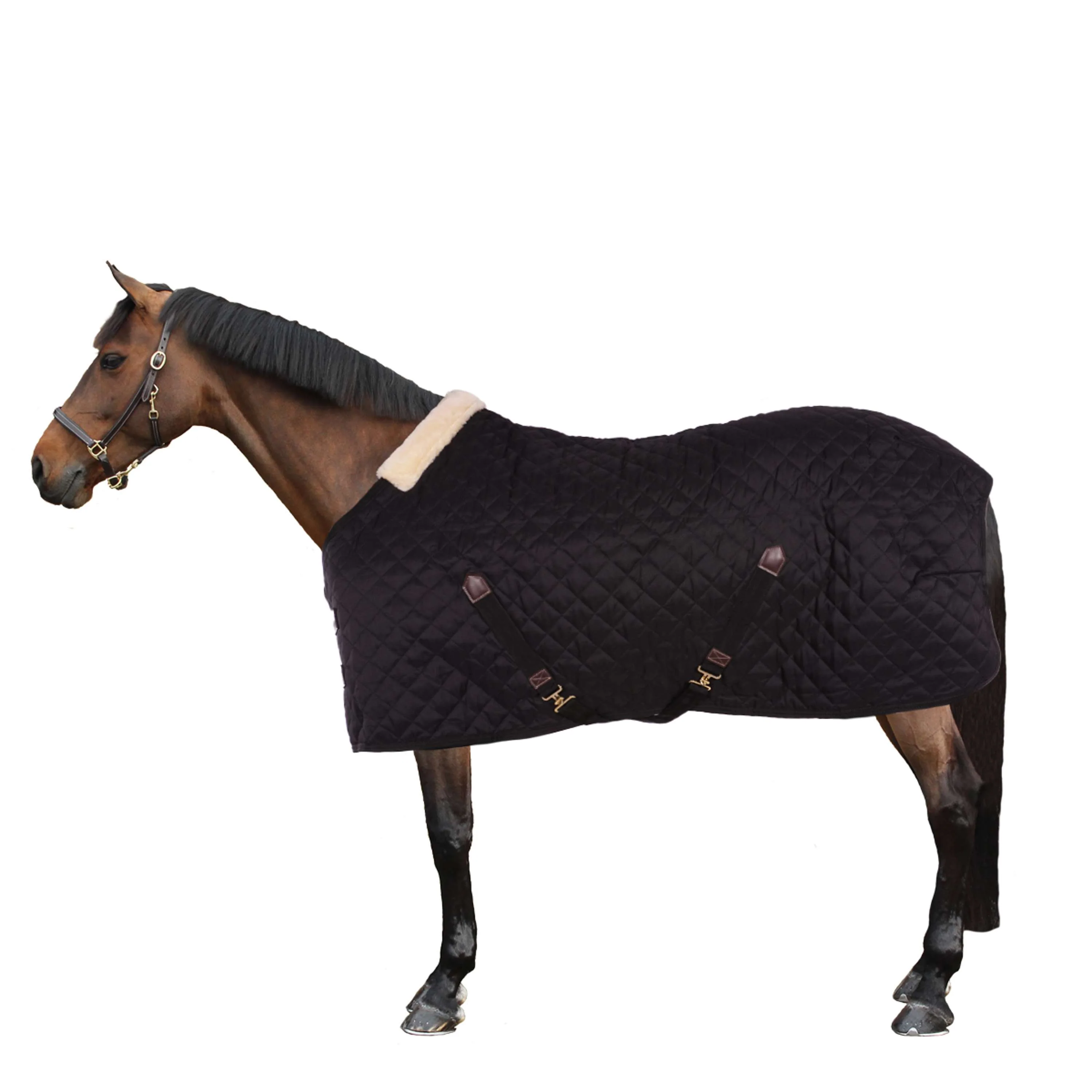 Kentucky Horsewear Coperta da scuderia Nero - Image 2