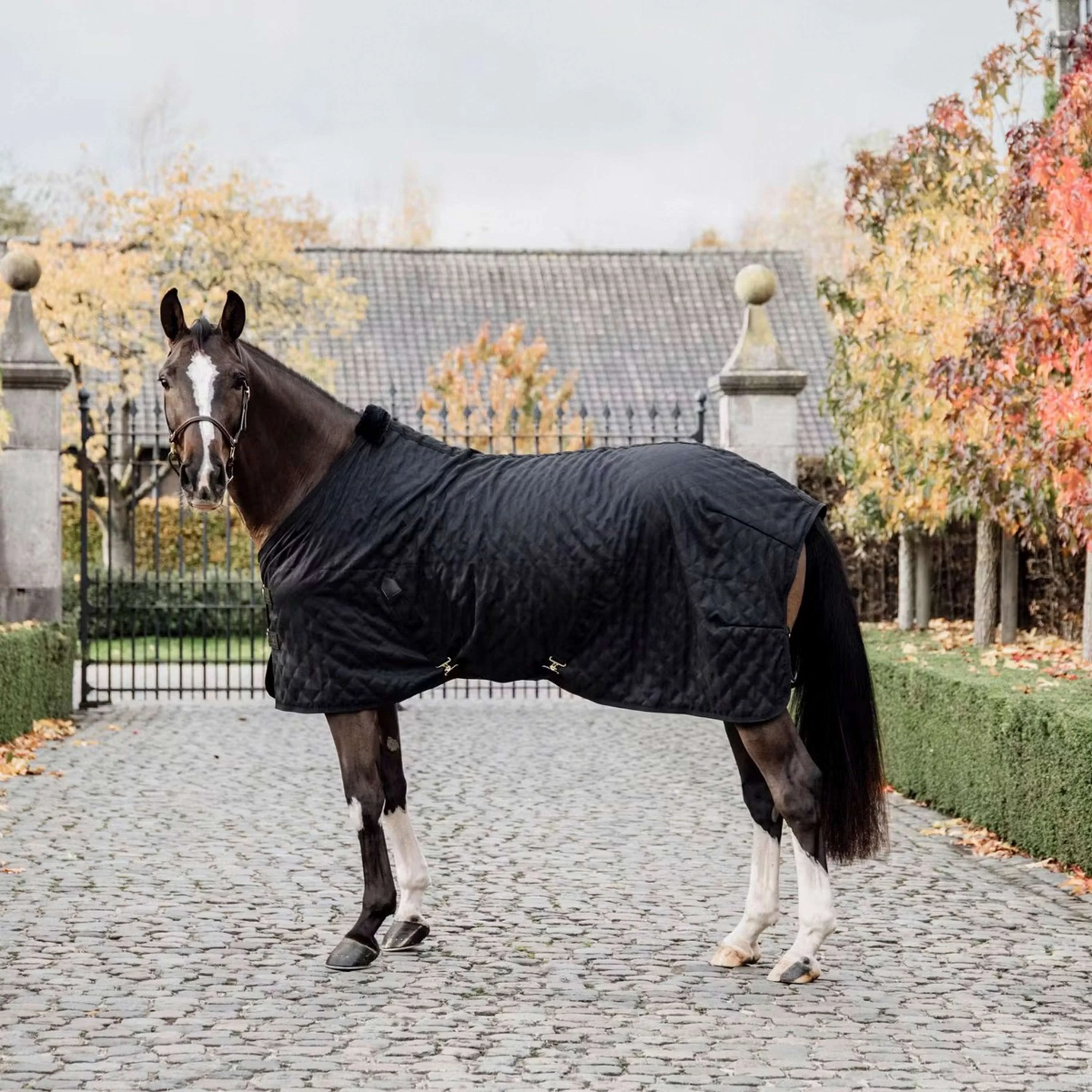 Kentucky Horsewear Coperta da scuderia Nero