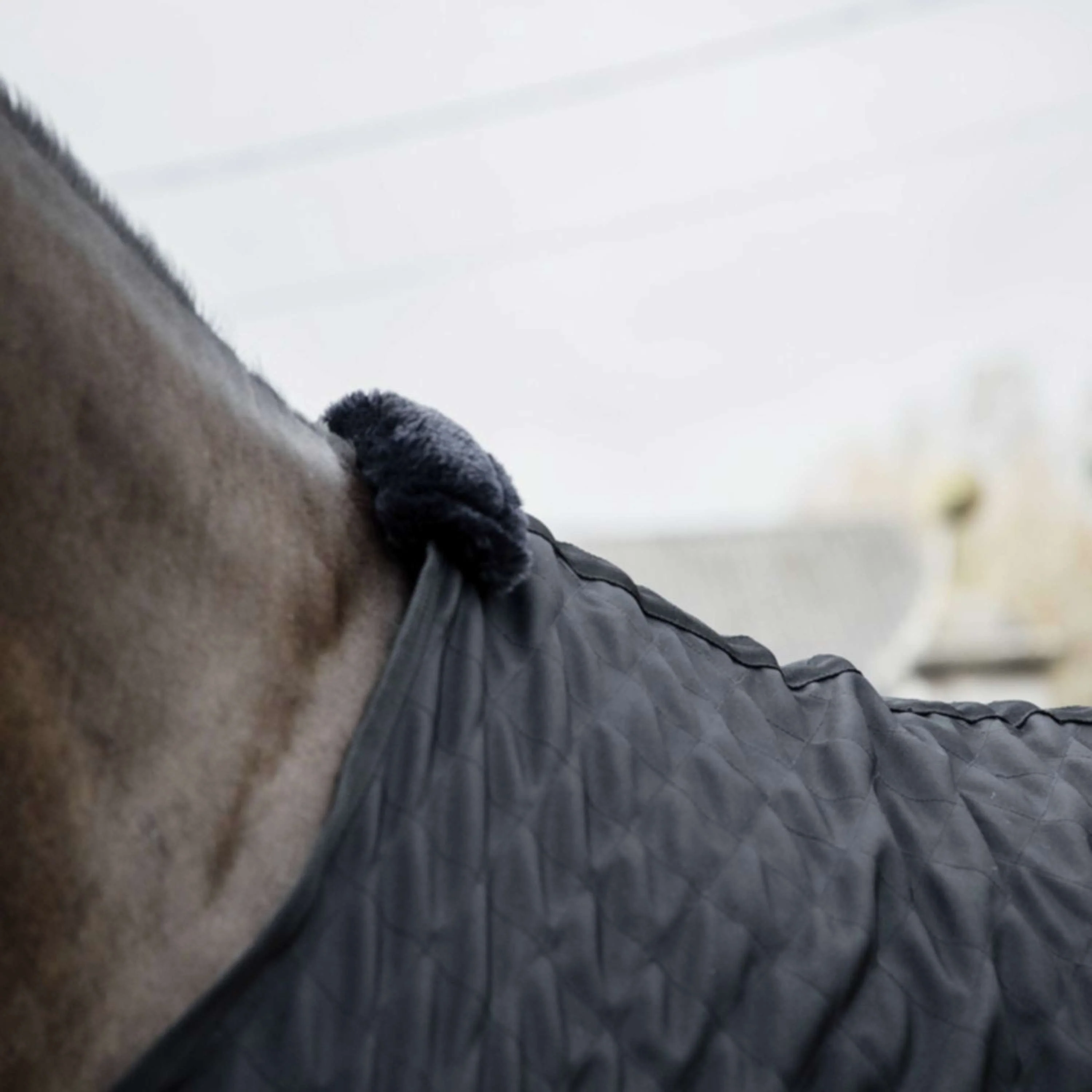 Kentucky Horsewear Coperta da scuderia Nero - Image 3
