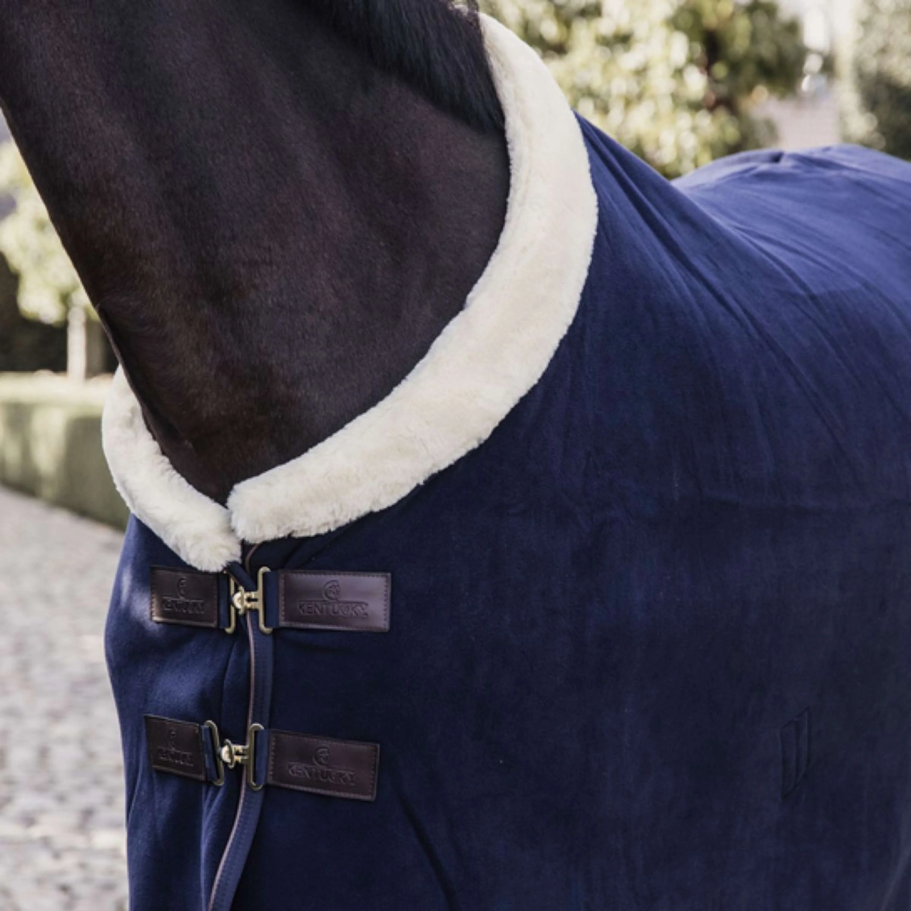 Kentucky Horsewear Coperta antisudore Show Fleece Heavy Navy - Image 3