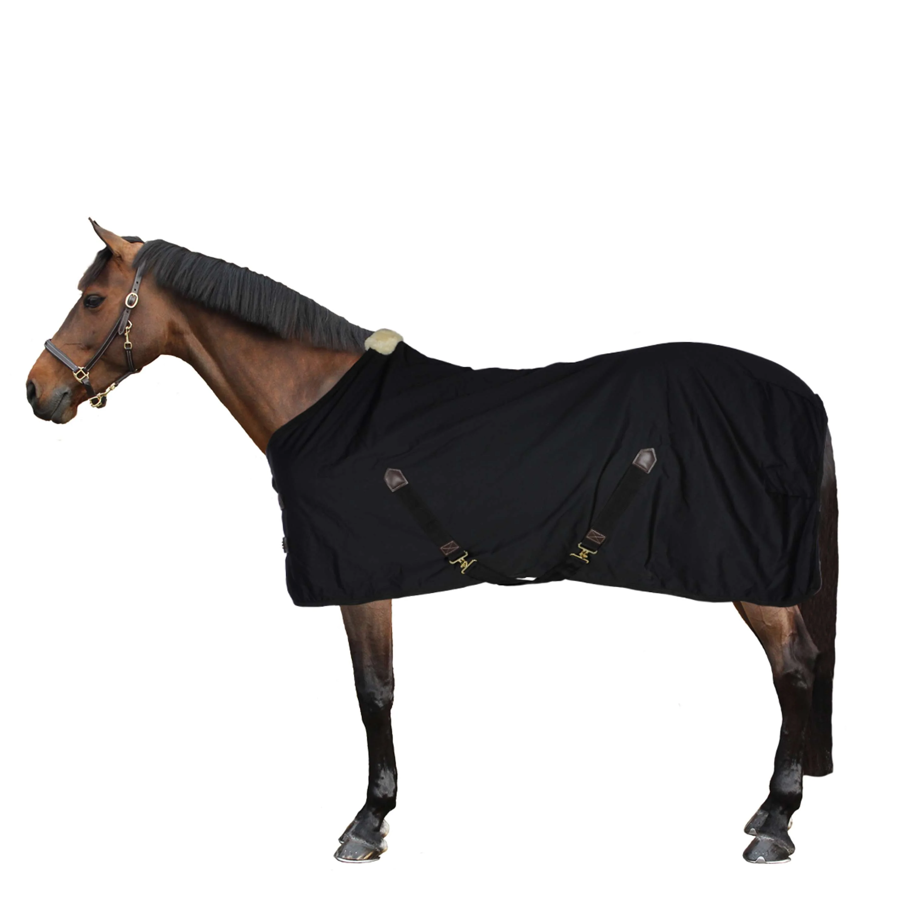 Kentucky Horsewear Coperta di cotone Nero - Image 3