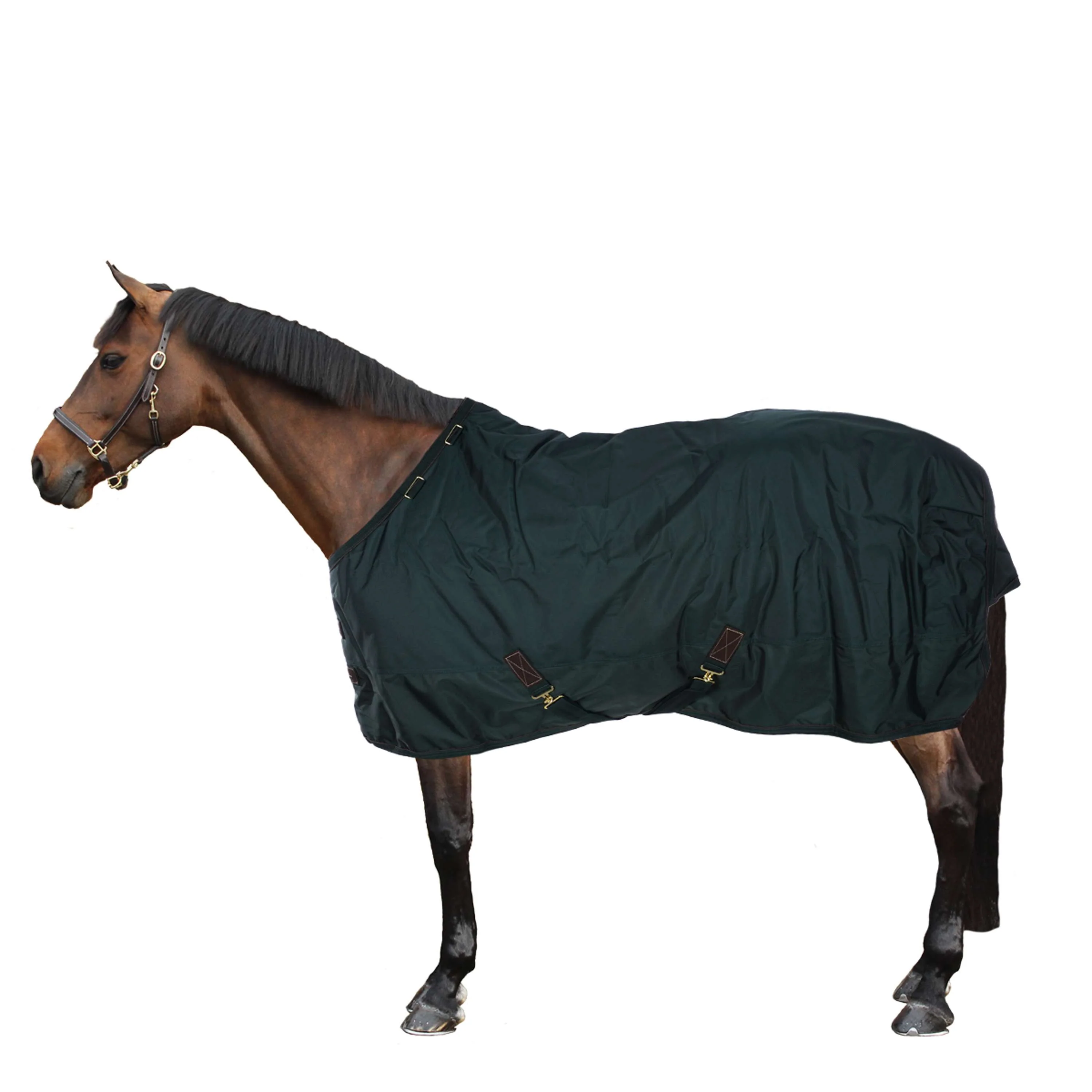 Kentucky Horsewear Coperta Invernale All Weather Verde scuro - Image 4