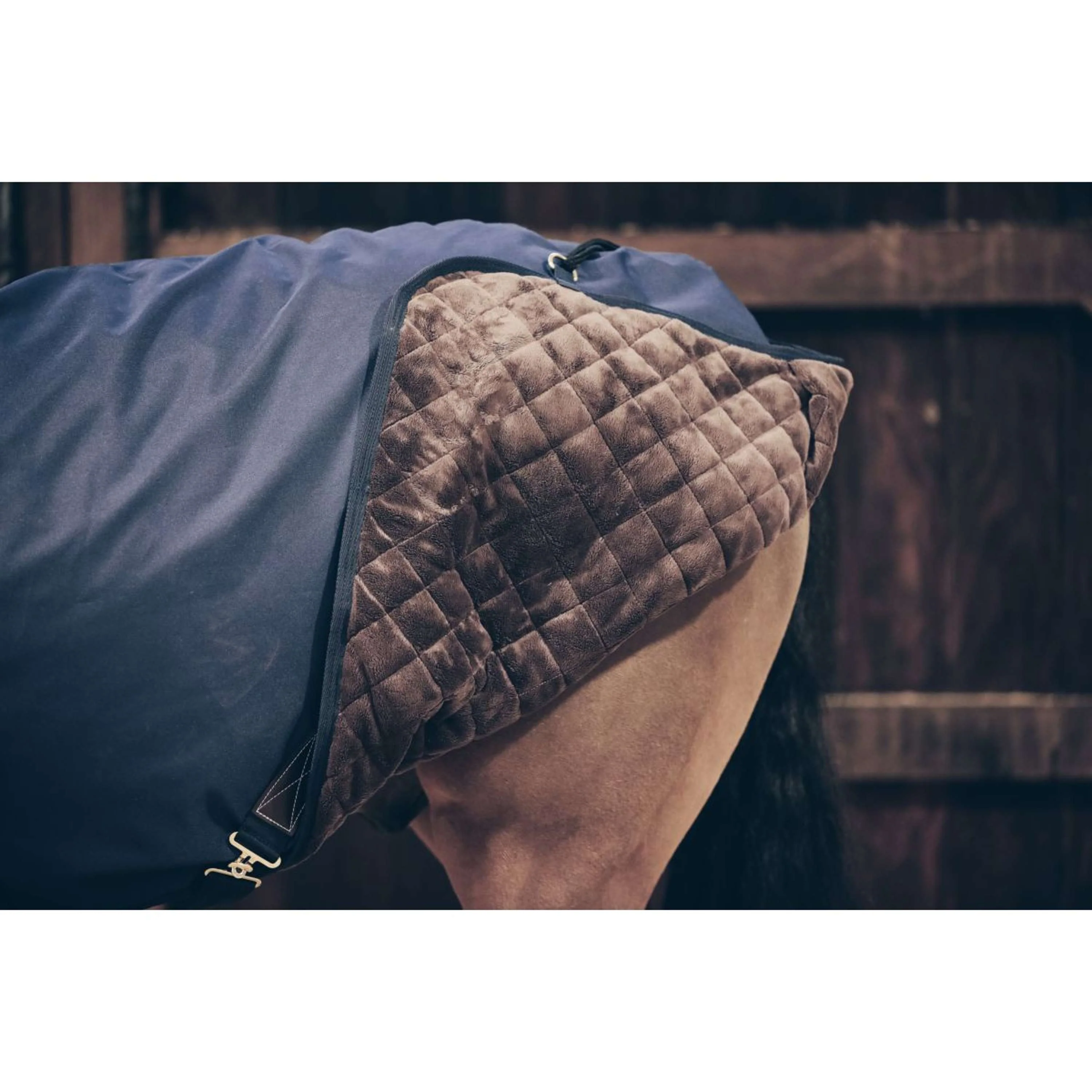 Kentucky Horsewear Coperta per giostra Impermeabile 160 g Navy - Image 3