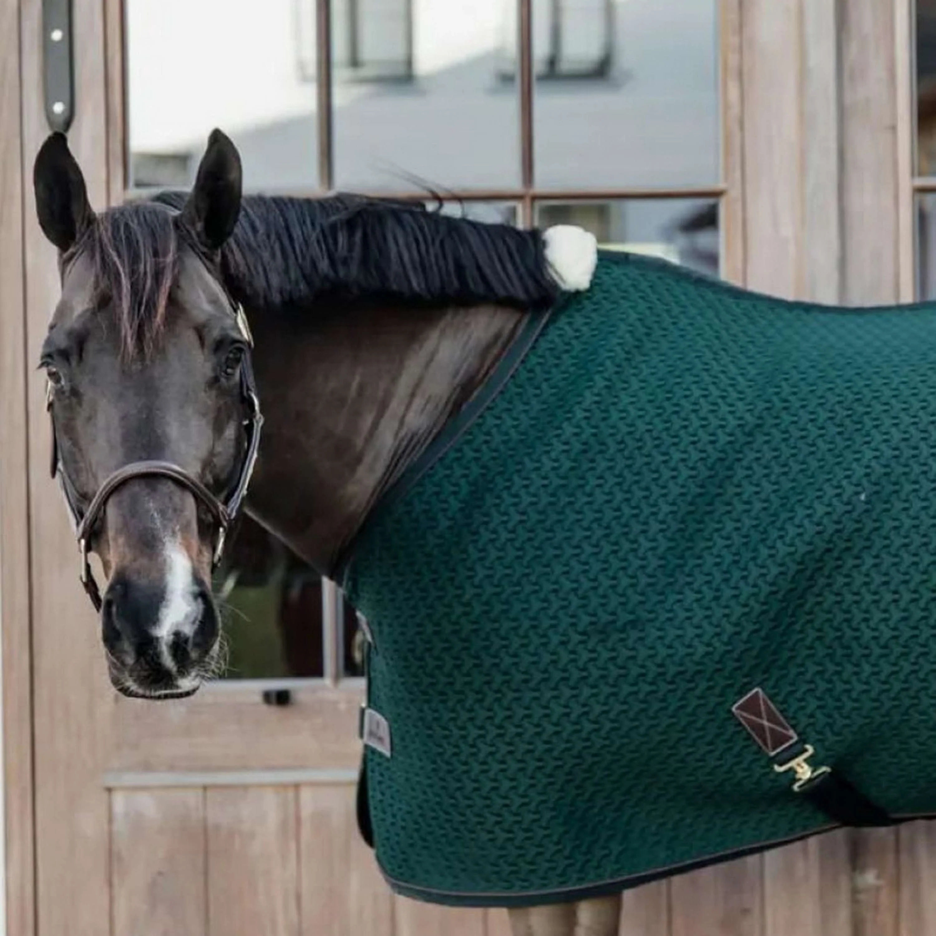 Kentucky Horsewear Coperta Rinfrescante 4D Distanziatore Pine Green - Image 2