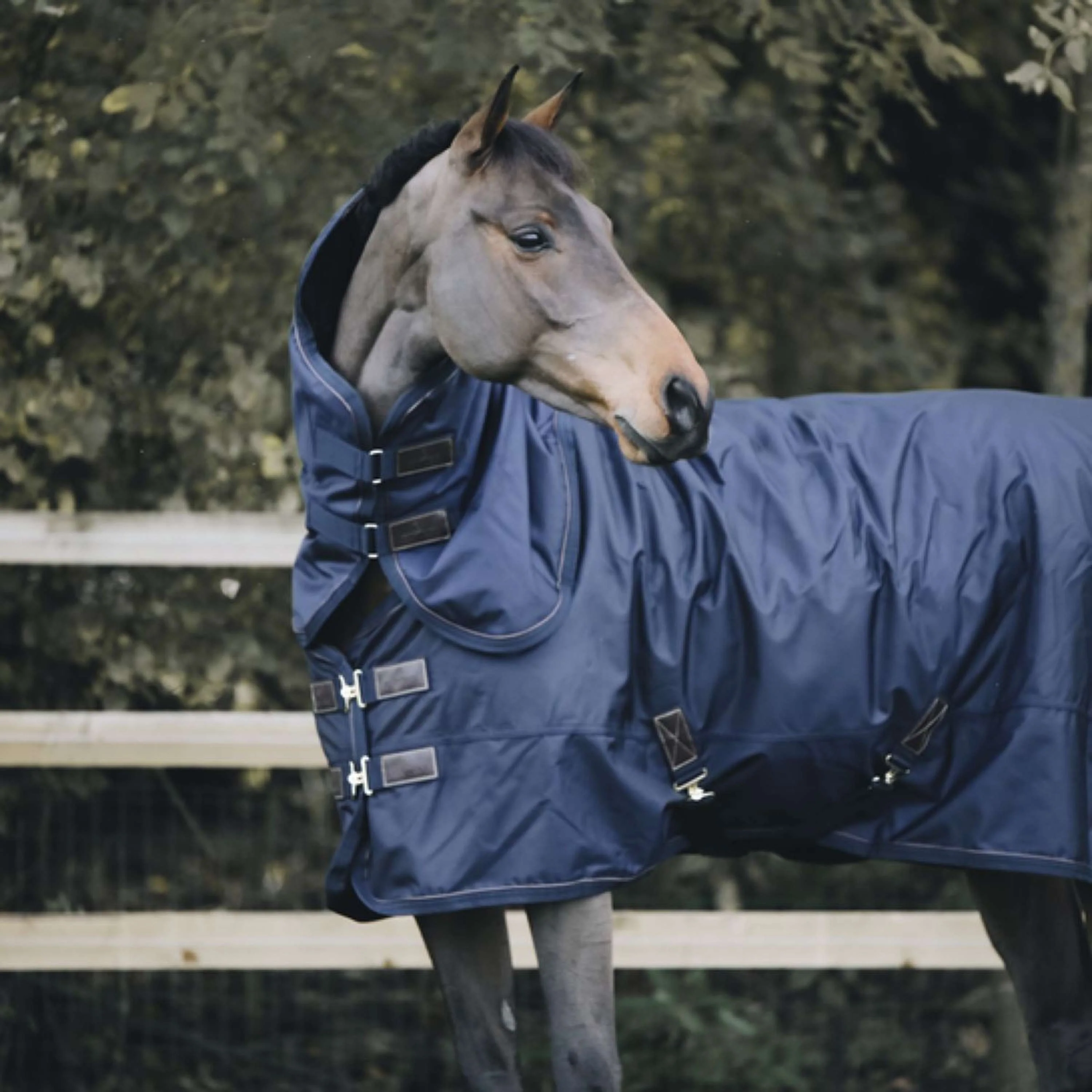 Kentucky Horsewear Copricollo All Weather 150g Navy - Image 2