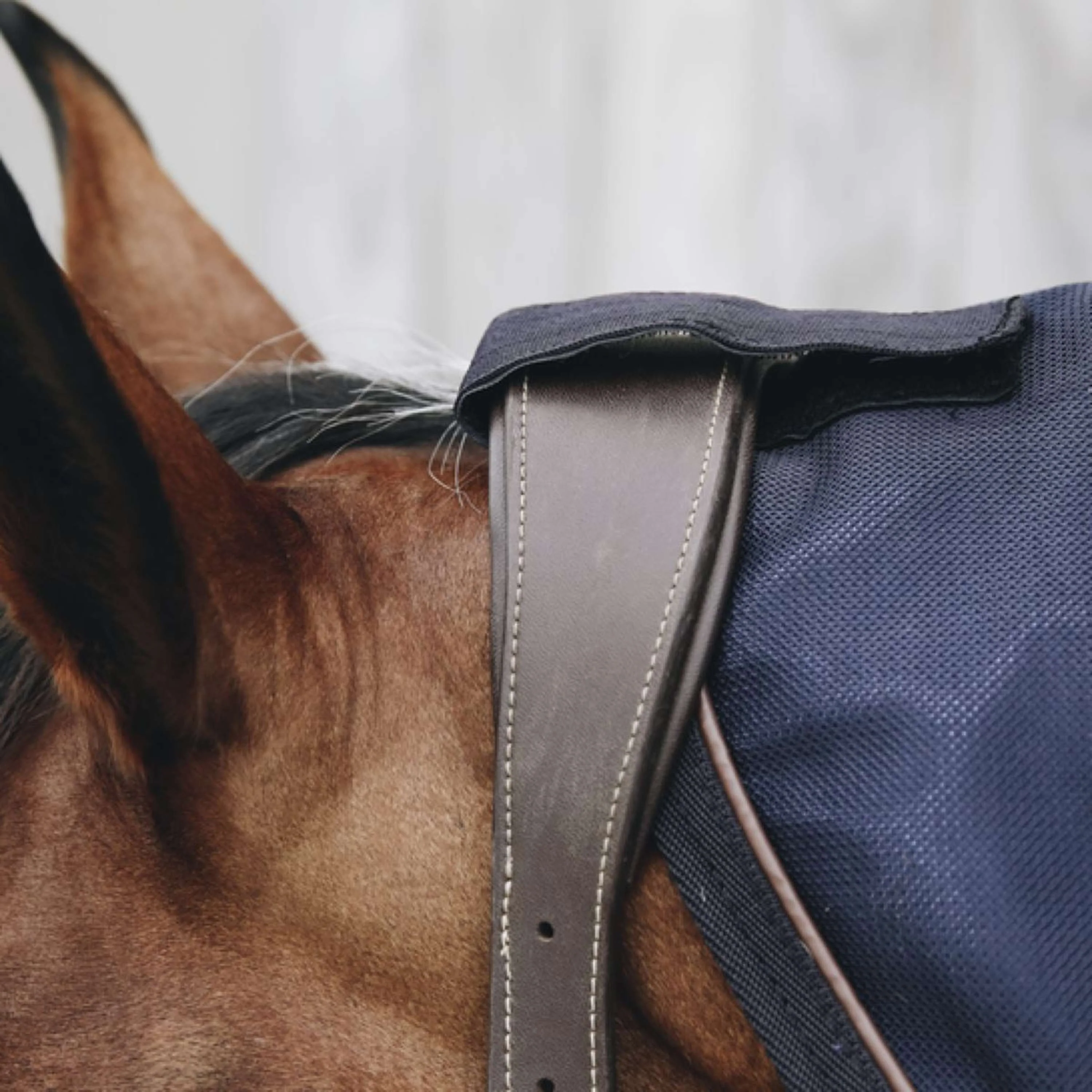 Kentucky Horsewear Copricollo Recuptex Navy - Image 2