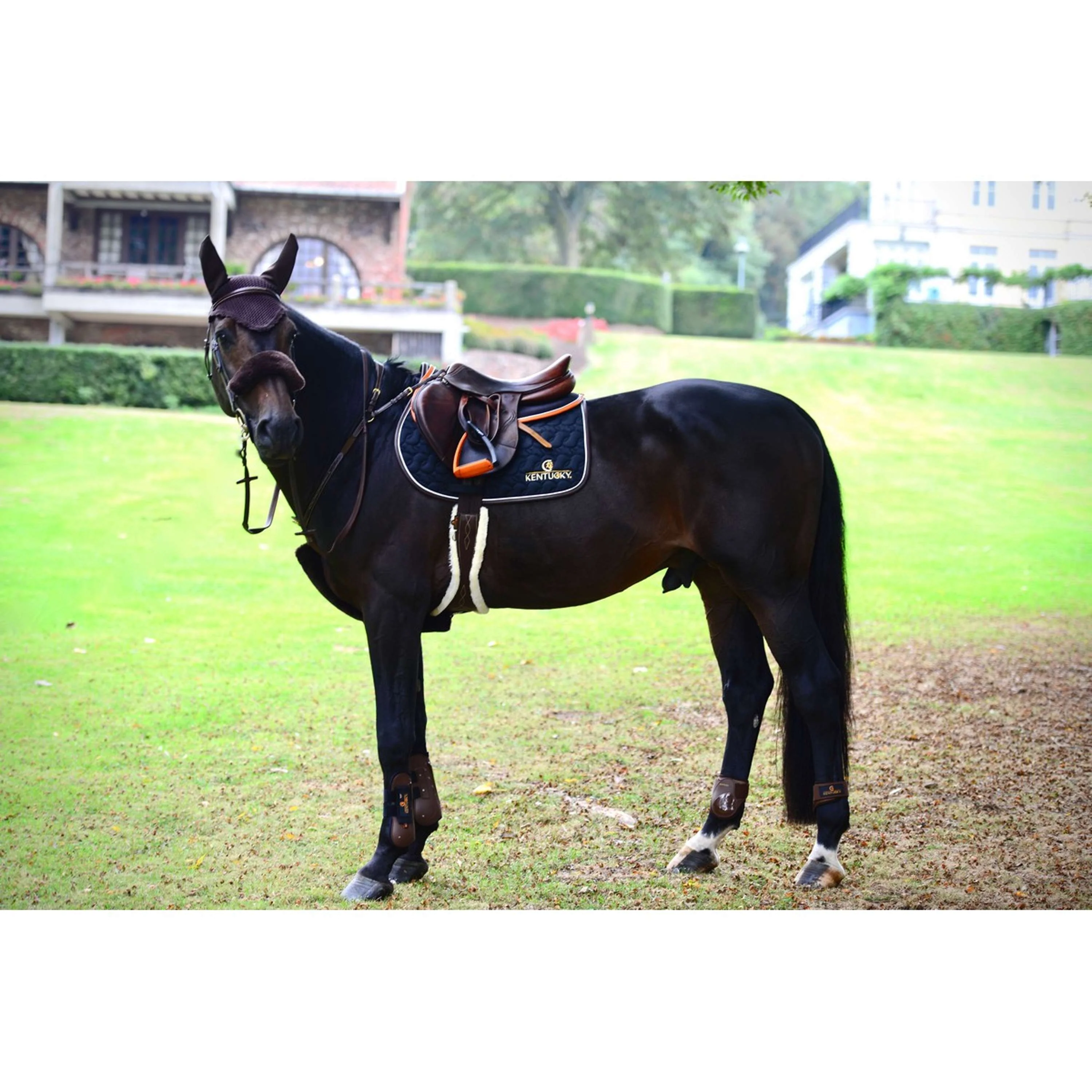 Kentucky Horsewear Copripetto Sheepskin Marrone - Image 2