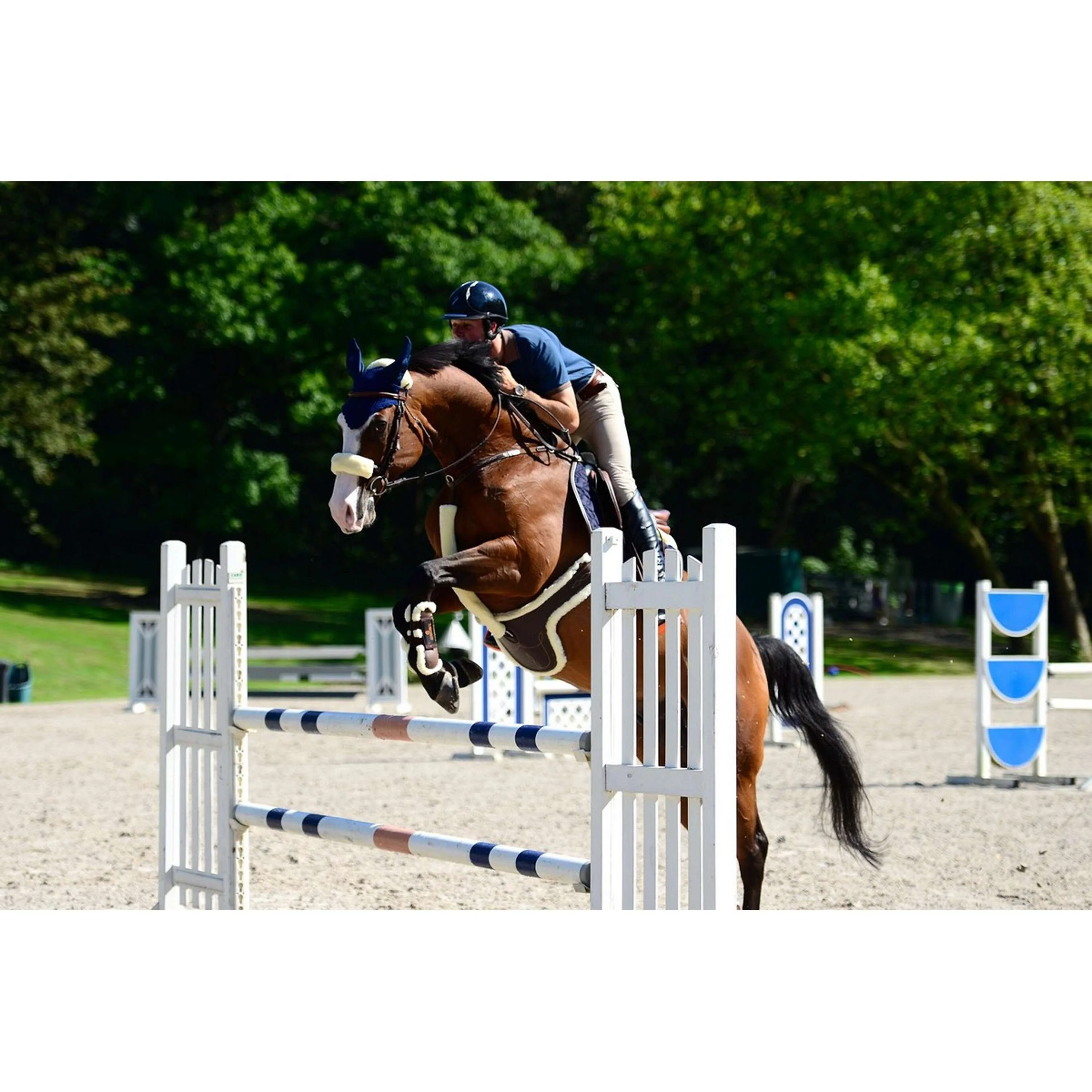 Kentucky Horsewear Copripetto Sheepskin Naturale - Image 2