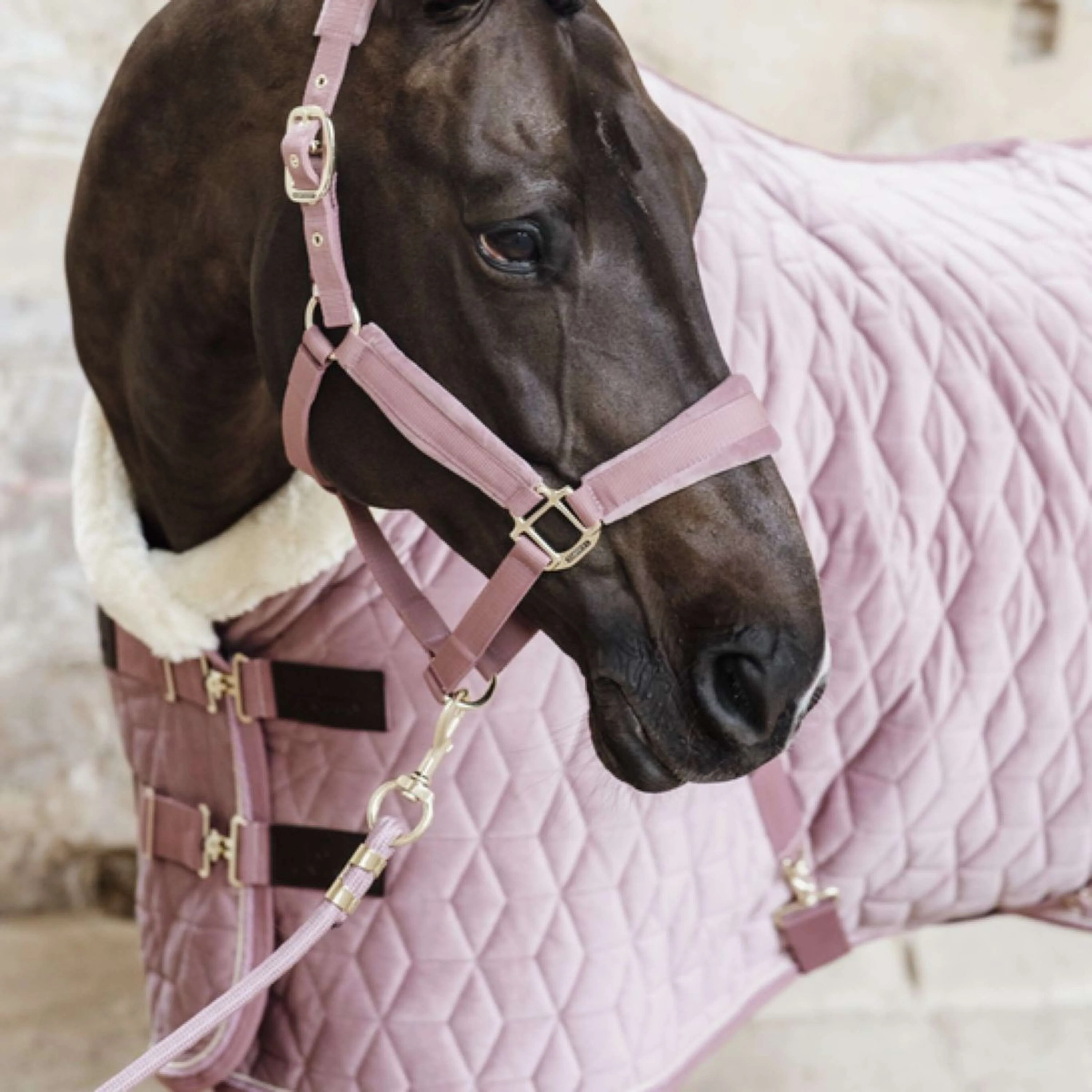 Kentucky Horsewear Corda per cavezza Basic Rosa antico - Image 2