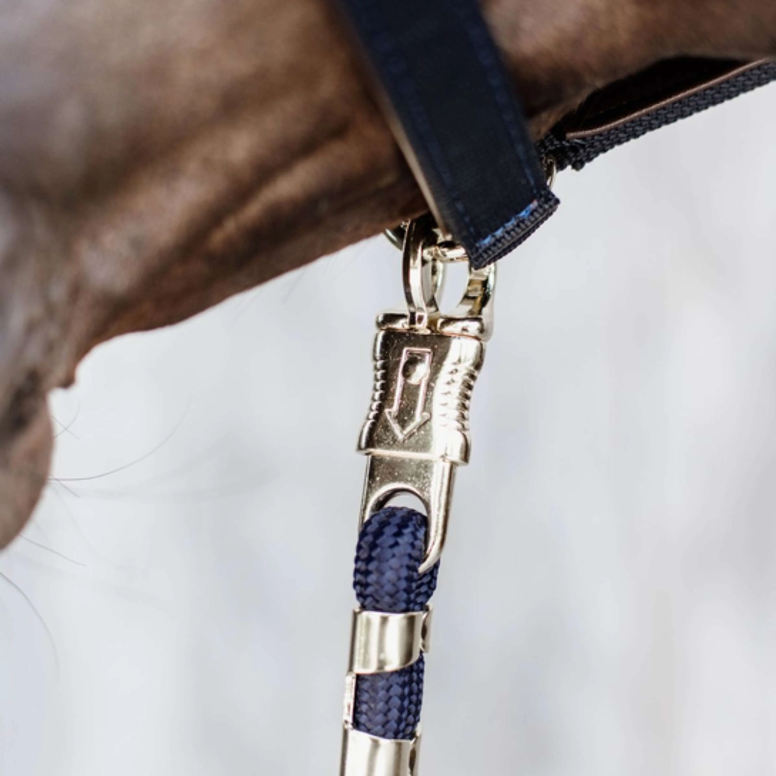 Kentucky Horsewear Corda per cavezza Gancio di sicurezza Navy - Image 2