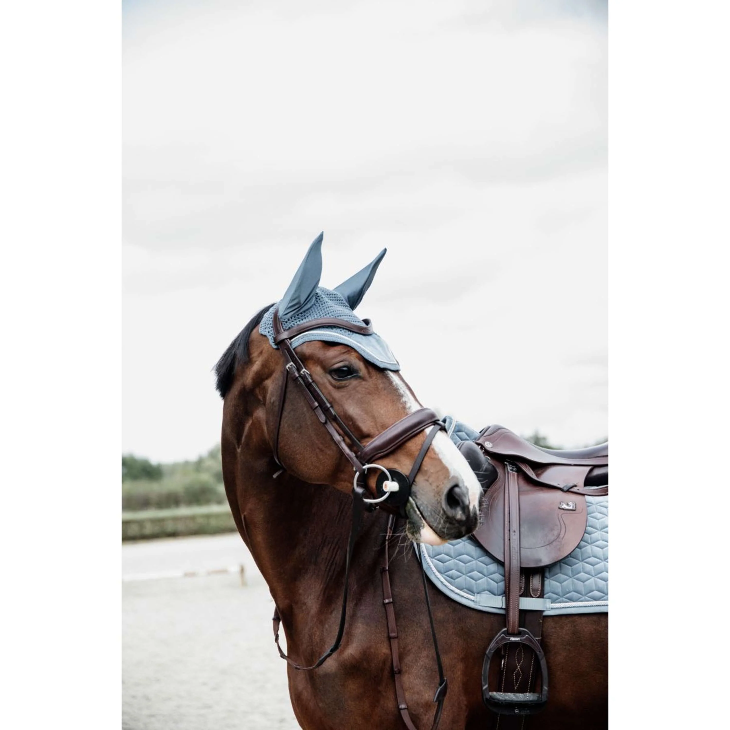 Kentucky Horsewear Cuffietta Wellington Velvet Azzurro - Image 3