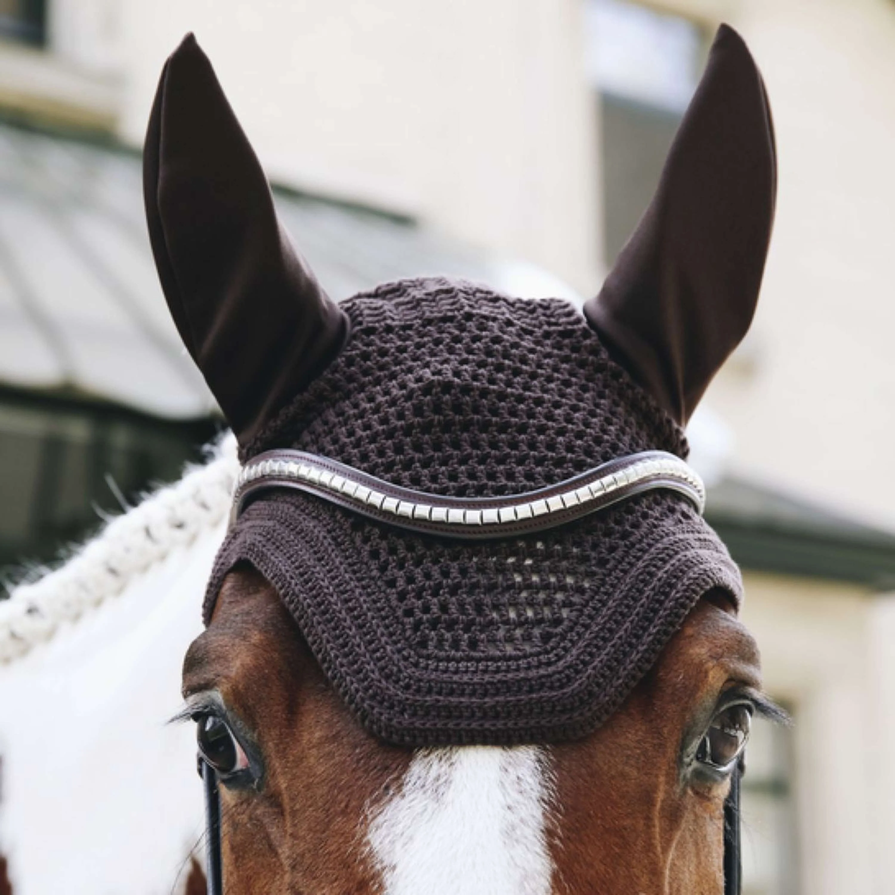 Kentucky Horsewear Cuffietta Wellington Marrone