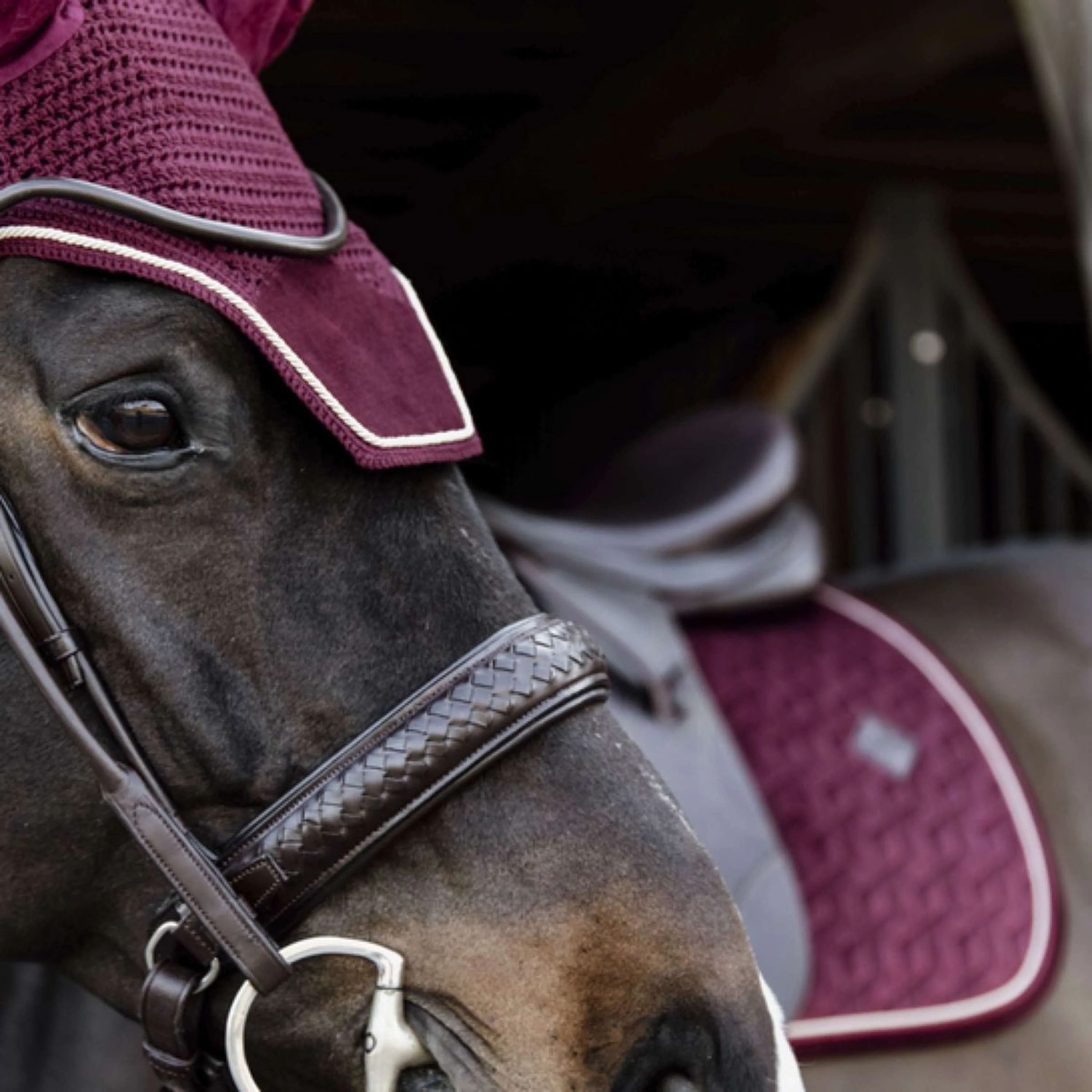 Kentucky Horsewear Cuffietta Wellington Velvet Bordeaux - Image 4