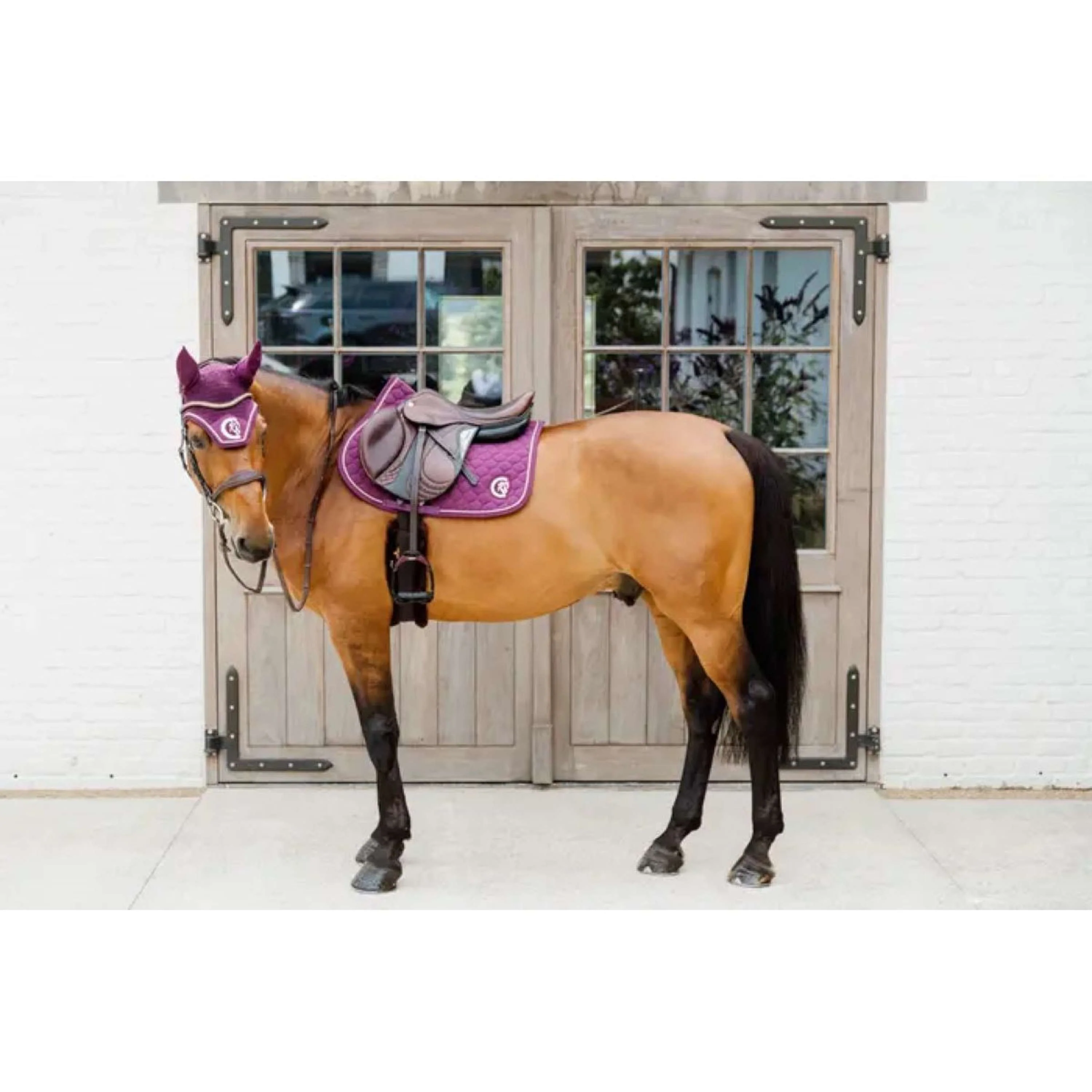 Kentucky Horsewear Cuffietta Wellington 3D Logo Viola - Image 4