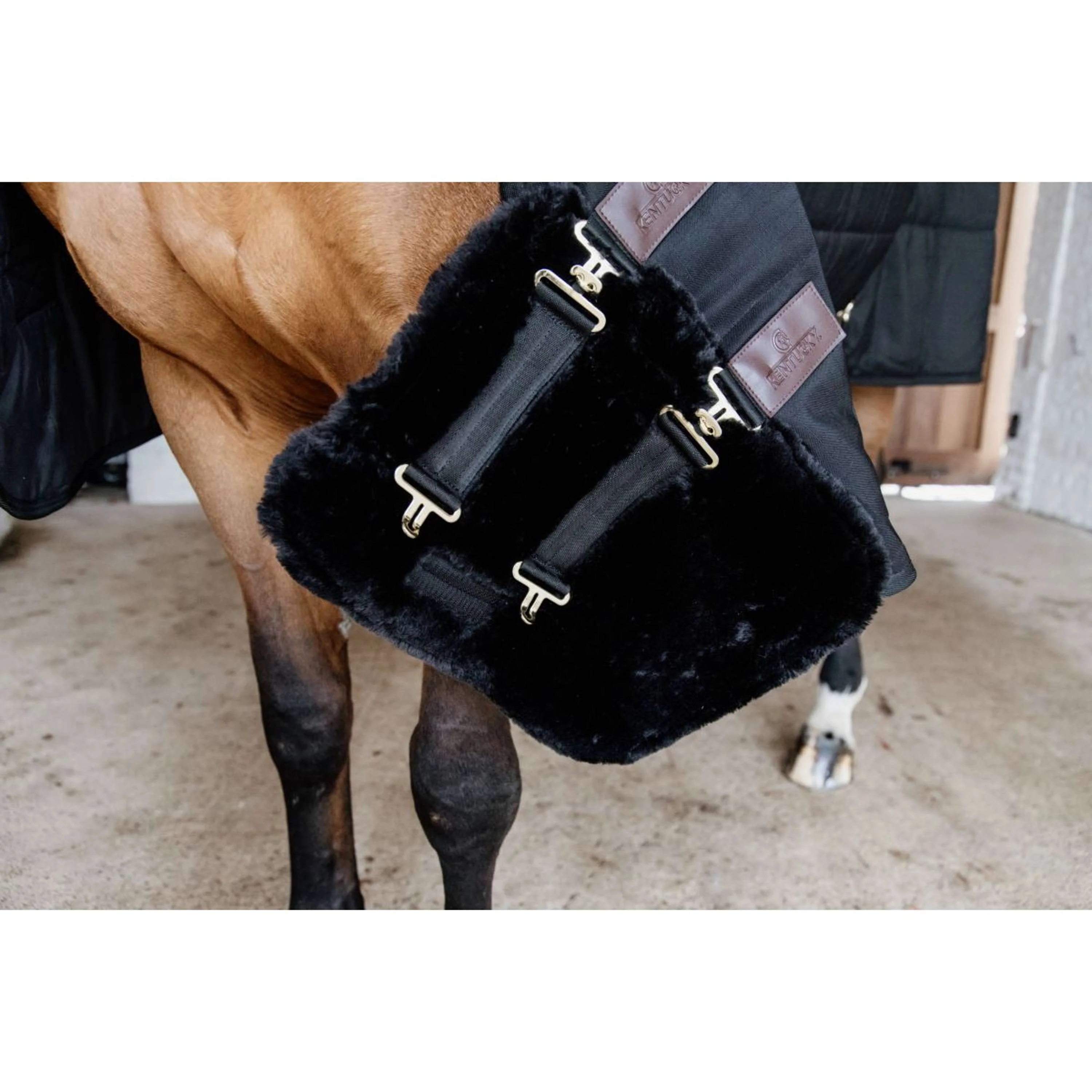 Kentucky Horsewear Estensore toracico Wol Nero - Image 7