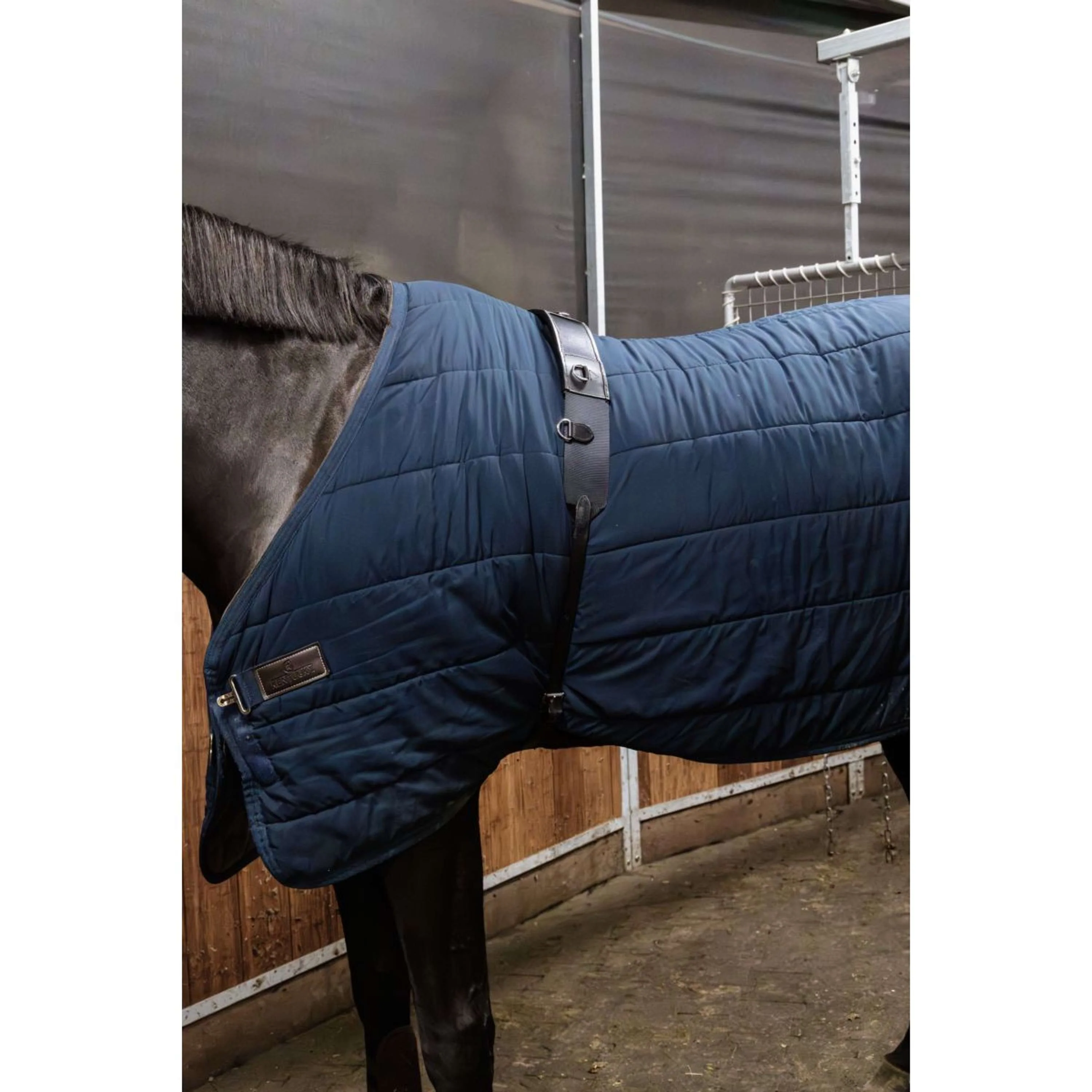 Kentucky Horsewear Fascia da Addestramento Nylon Nero - Image 2