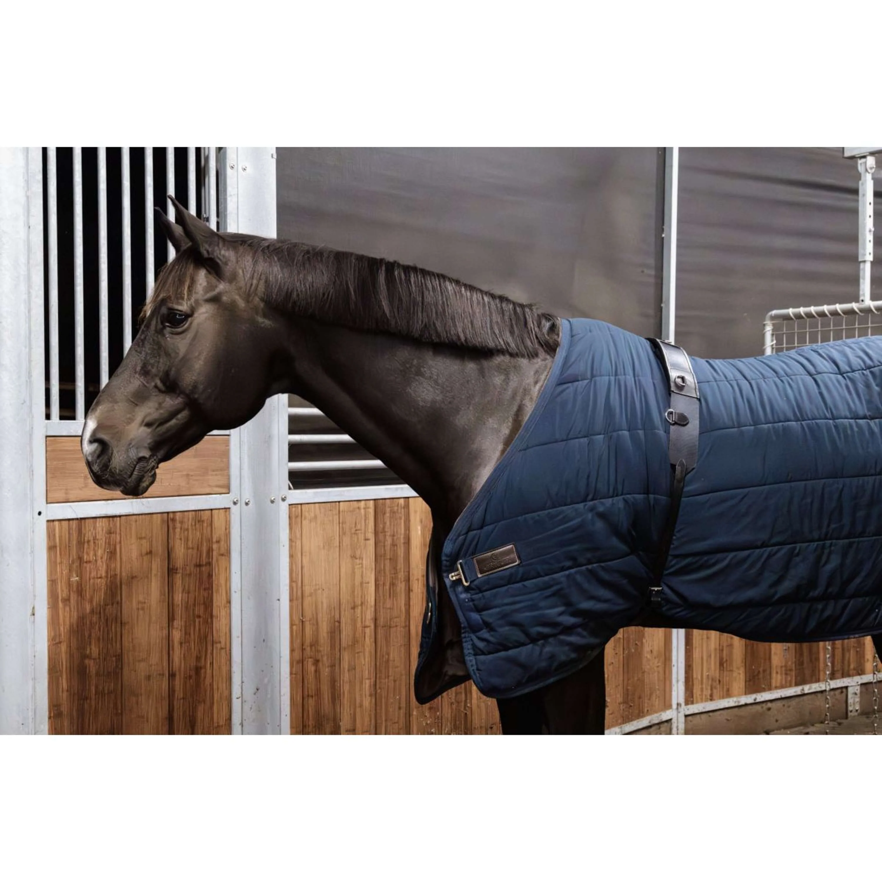 Kentucky Horsewear Fascia da Addestramento Nylon Nero - Image 3