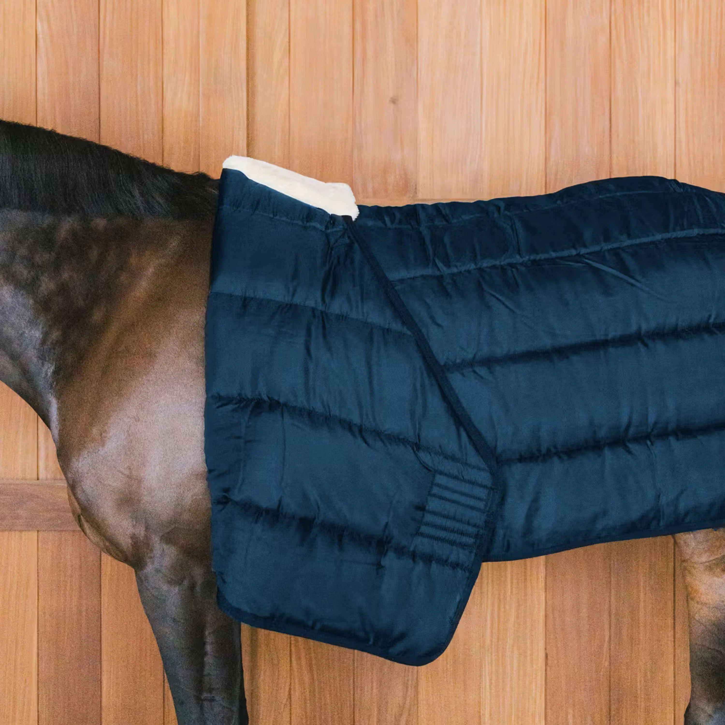 Kentucky Horsewear Fodera comfort per la schiena 100g Navy - Image 2