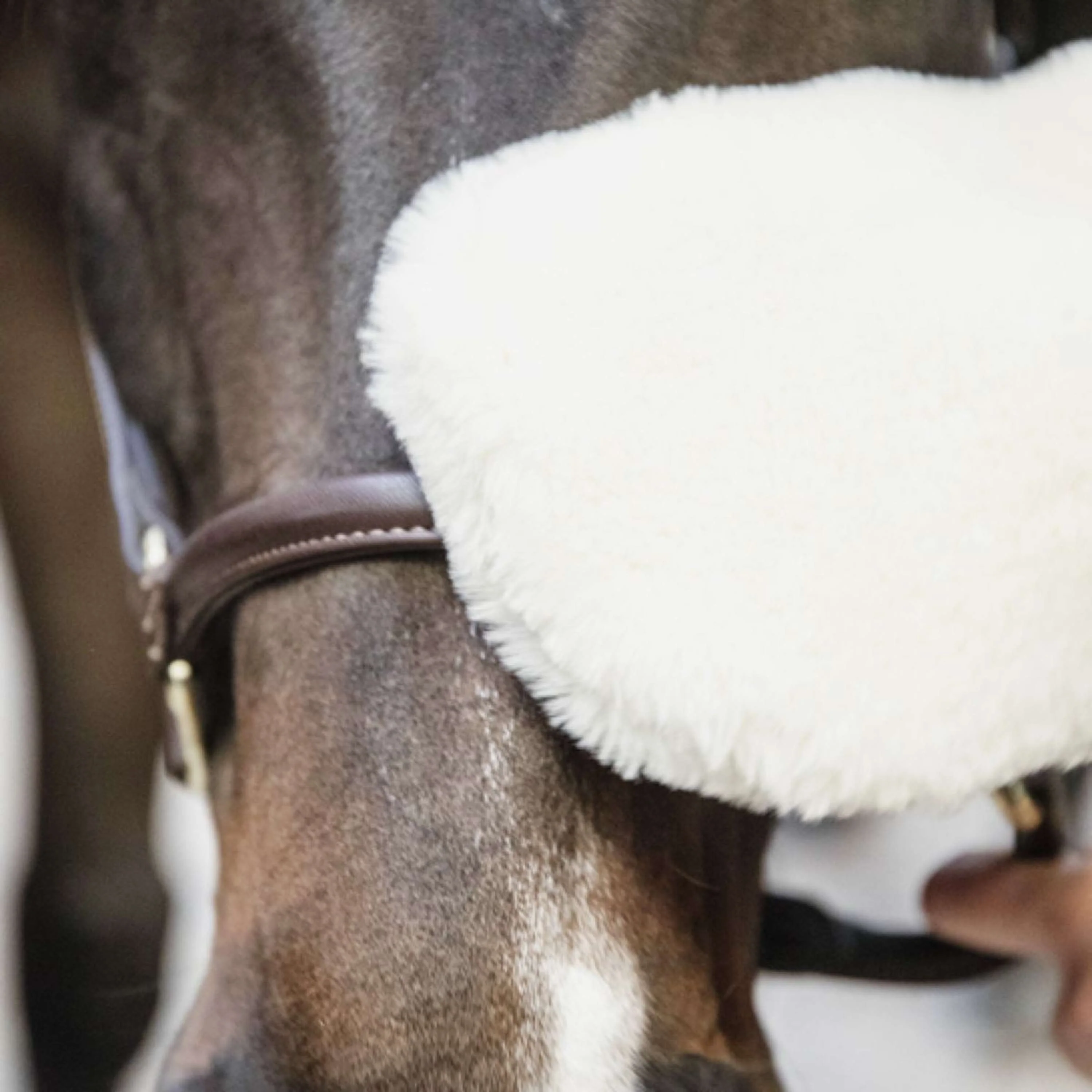 Kentucky Horsewear Guanto da Strigliatura Naturale - Image 2