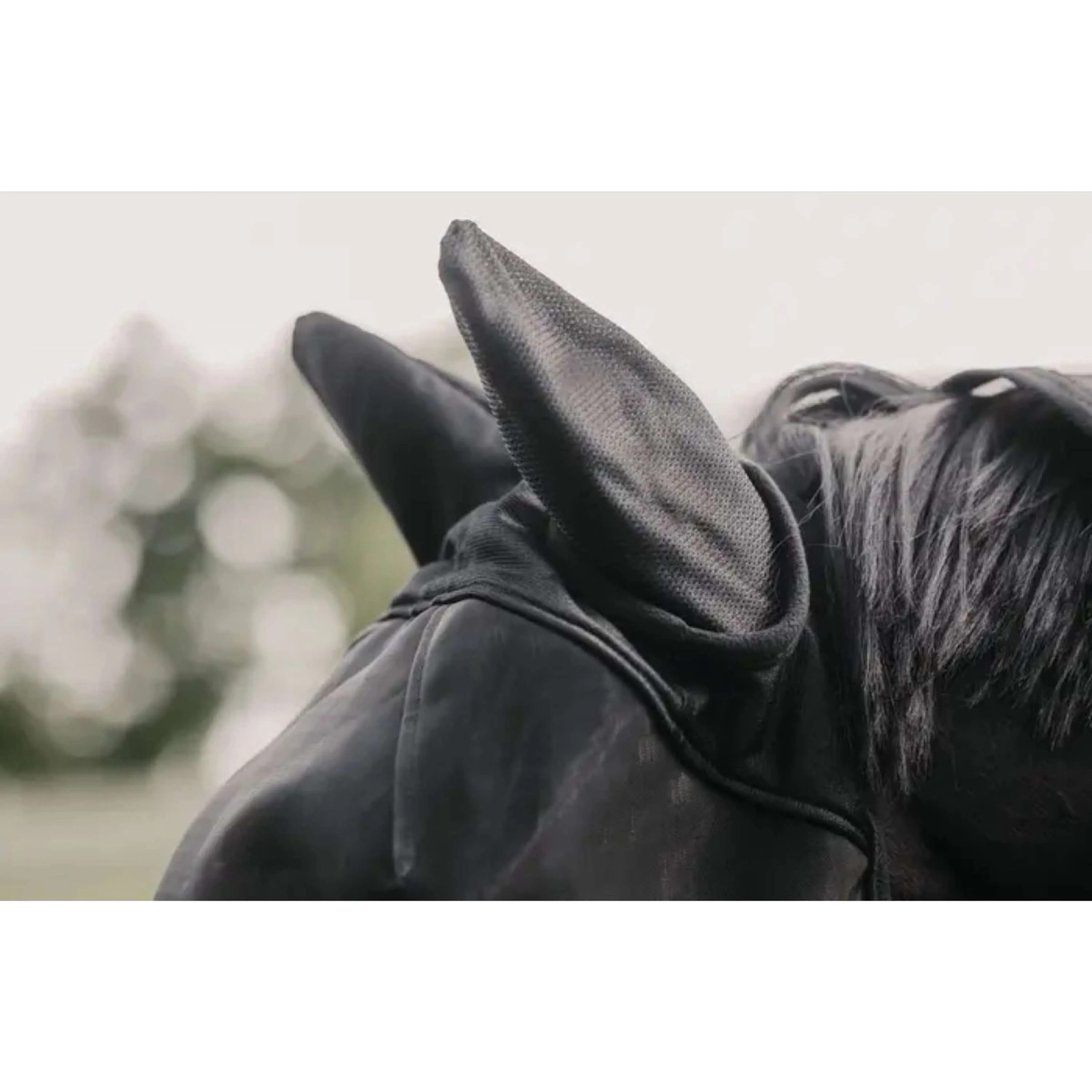 Kentucky Horsewear Maschera per Mosche Classic Nero - Image 4