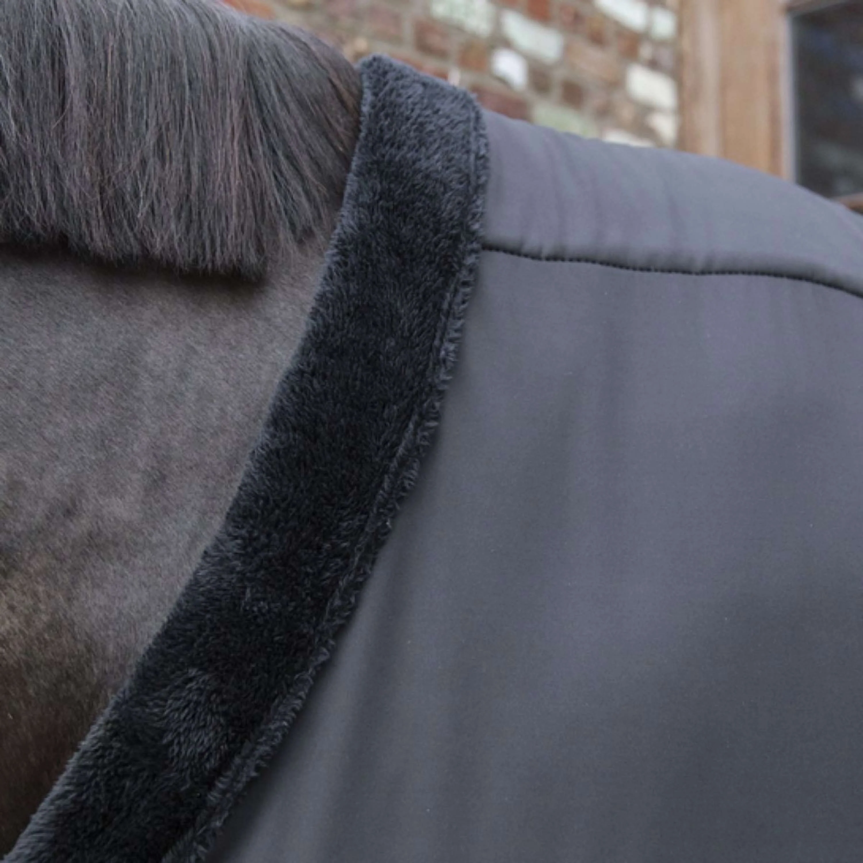 Kentucky Horsewear Protettore Torace Nero - Image 3