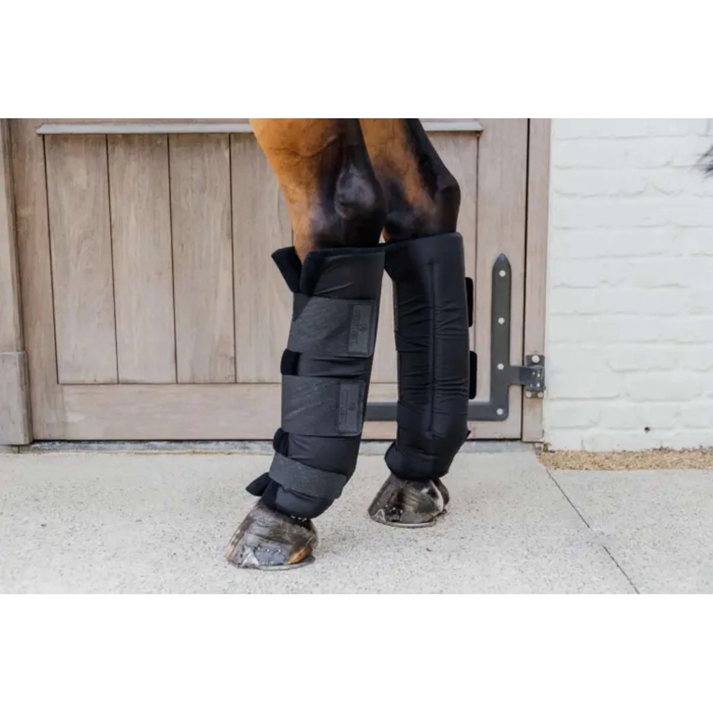 Kentucky Horsewear Protettori da stalla PROtect Classic Nero - Image 2