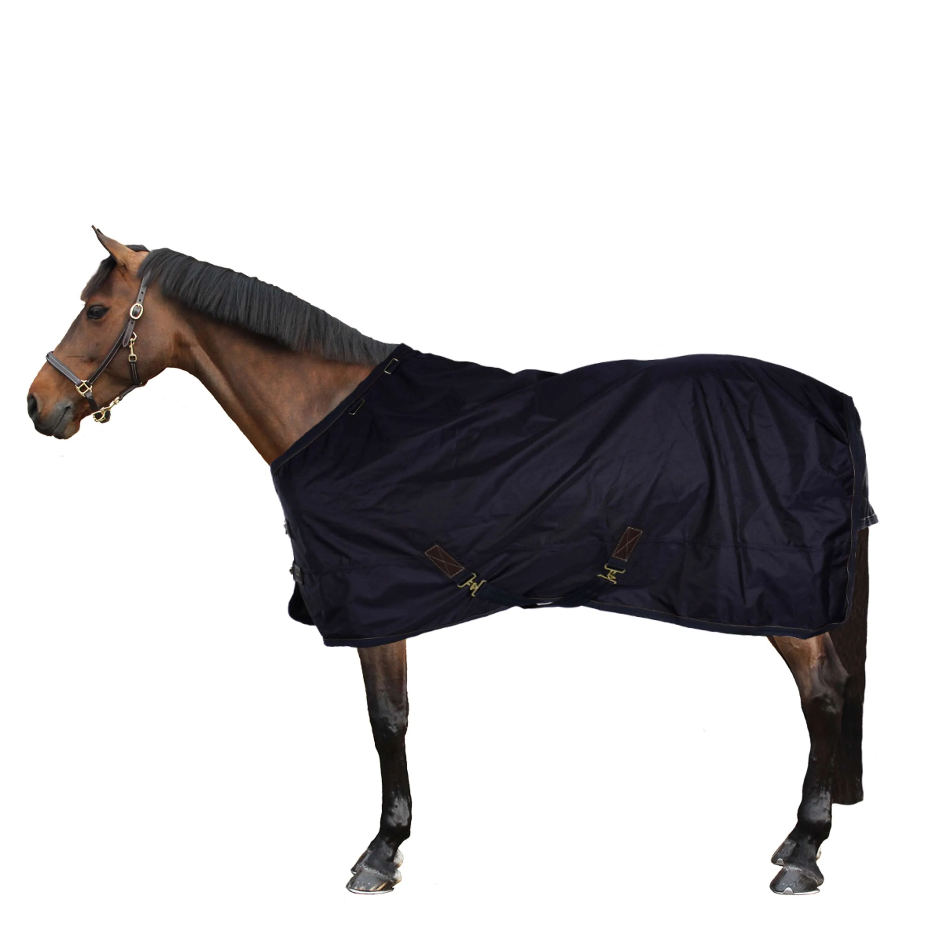 Kentucky Horsewear Ritorno dell'affluenza alle urne All Weather 300g Navy - Image 7