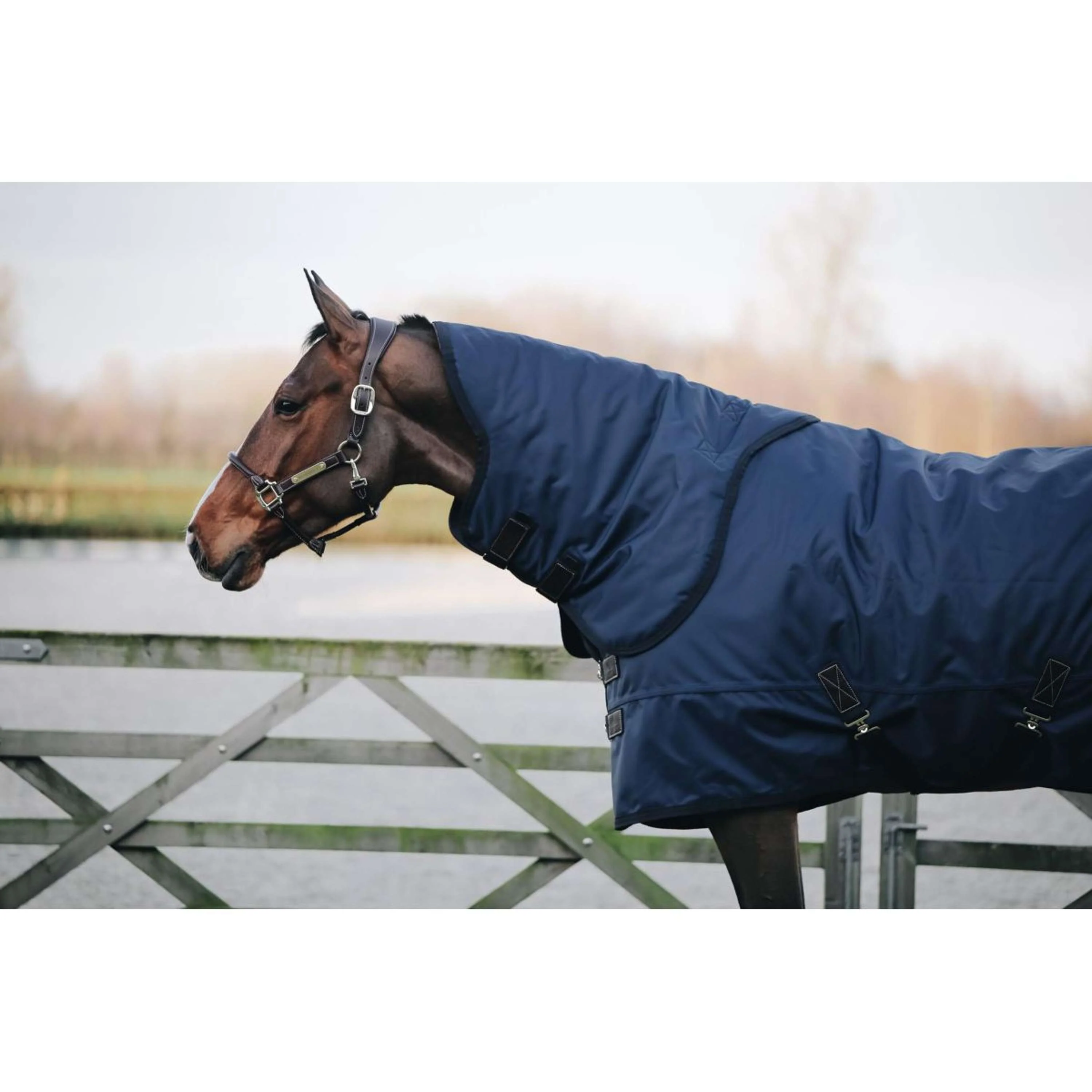 Kentucky Horsewear Ritorno dell'affluenza alle urne All Weather 300g Navy - Image 8