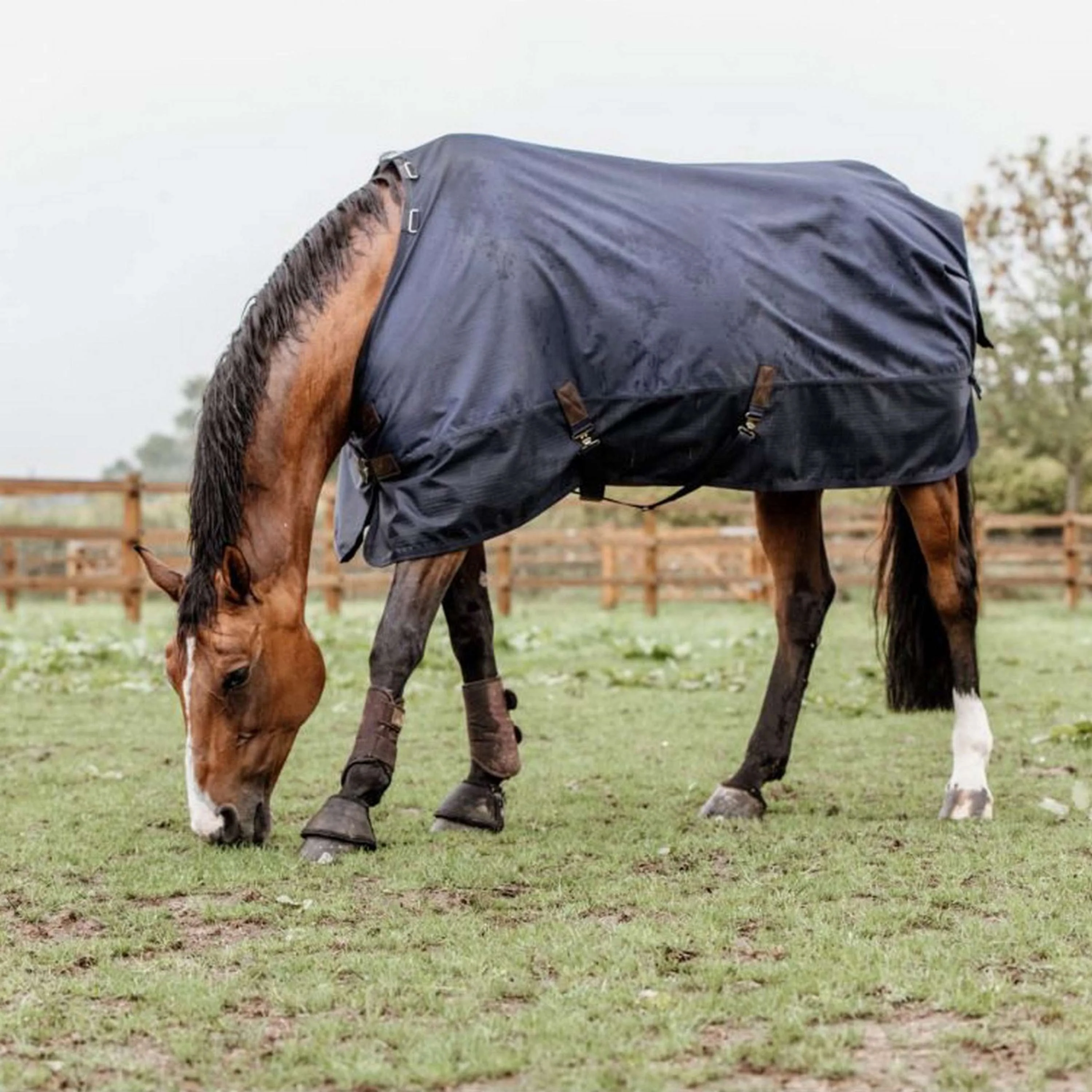 Kentucky Horsewear Ritorno dell'affluenza alle urne All Weather 300g Navy - Image 9