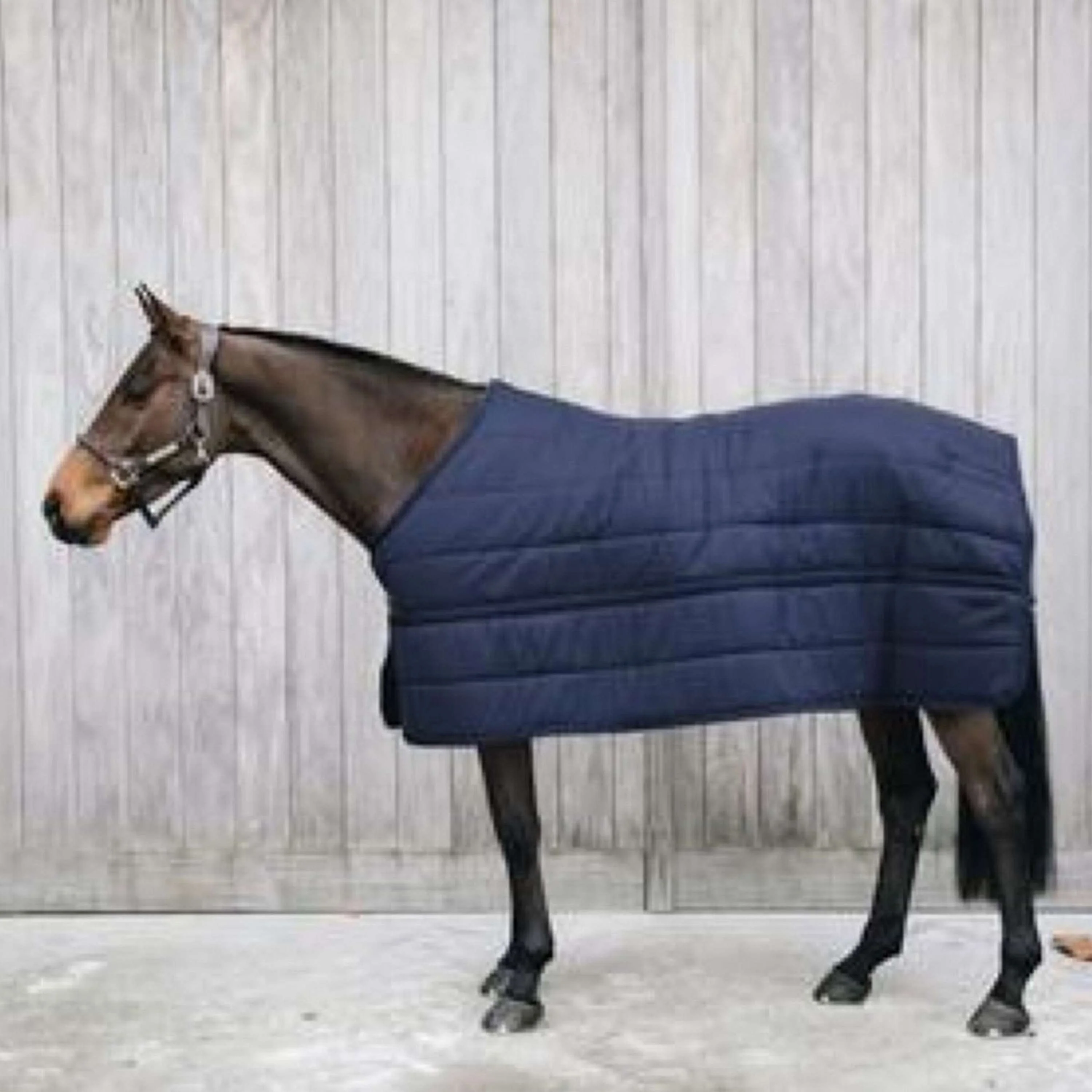 Kentucky Horsewear Sottocoperta Skin Friendly 150g Navy
