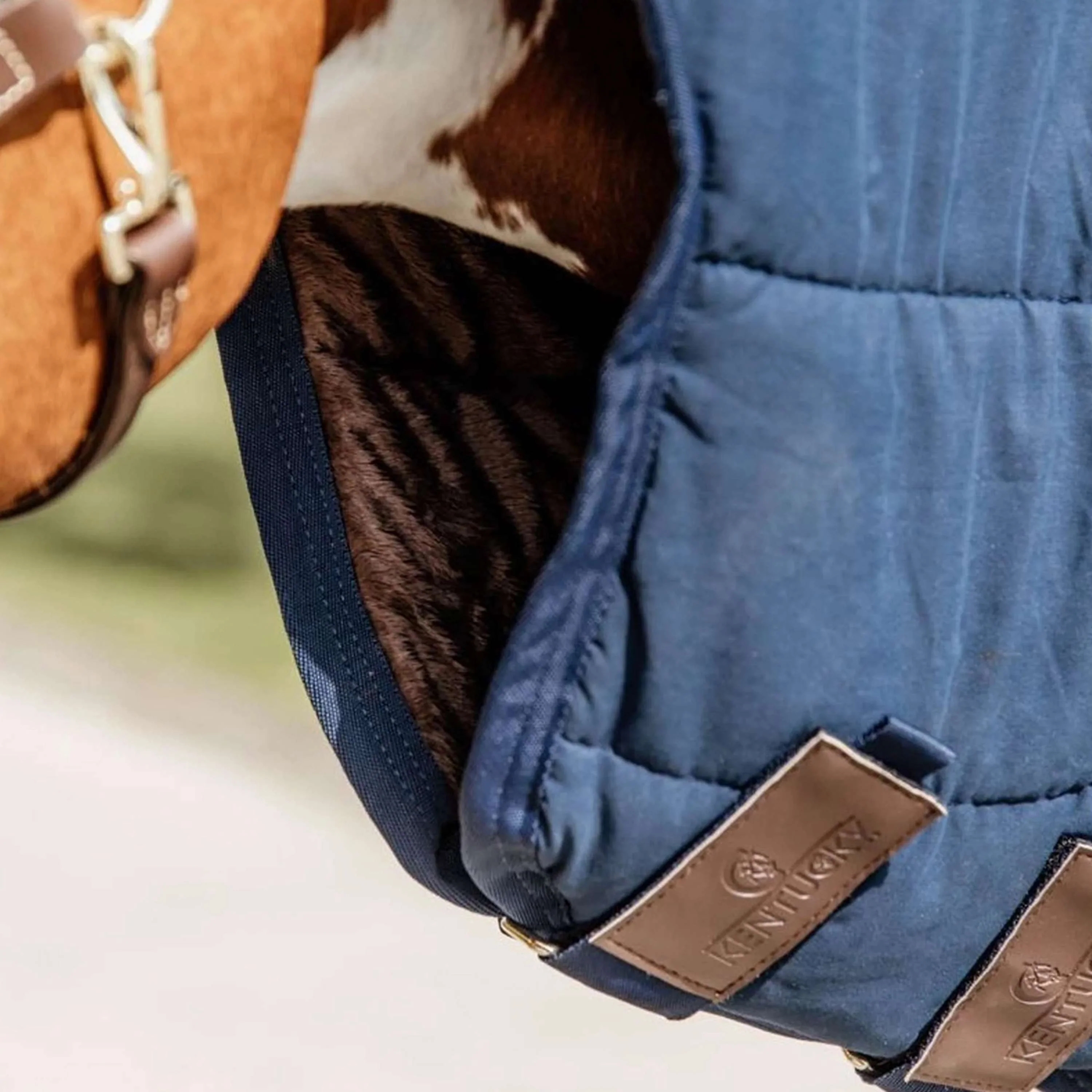 Kentucky Horsewear Sottocoperta Skin Friendly Neck 150g Navy - Image 5