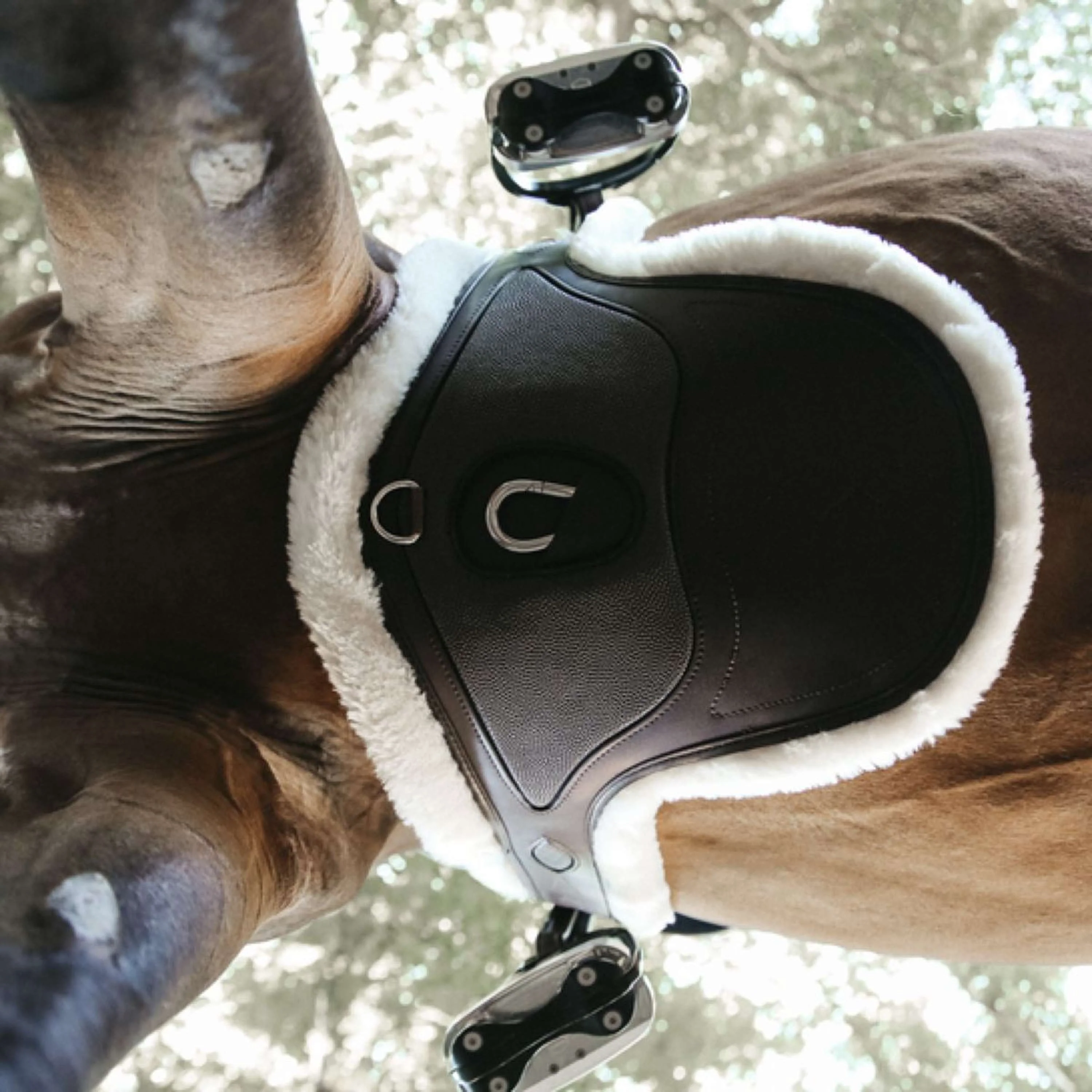 Kentucky Horsewear Sottopancia da salto Marrone - Image 3