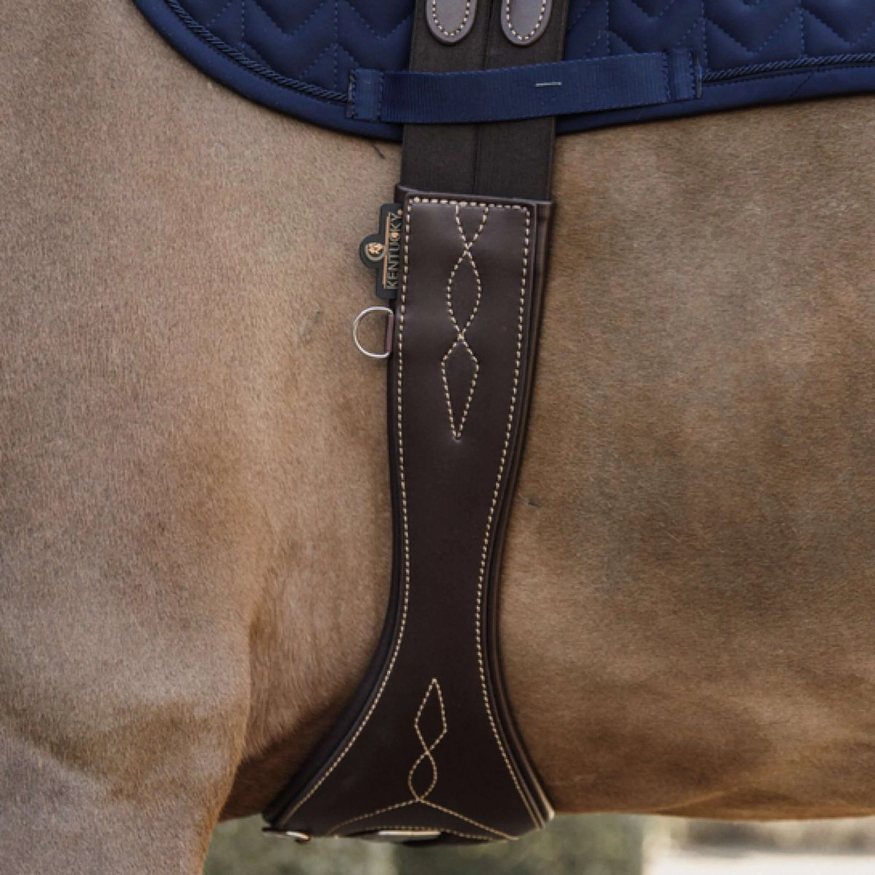 Kentucky Horsewear Sottopancia da salto Marrone - Image 2