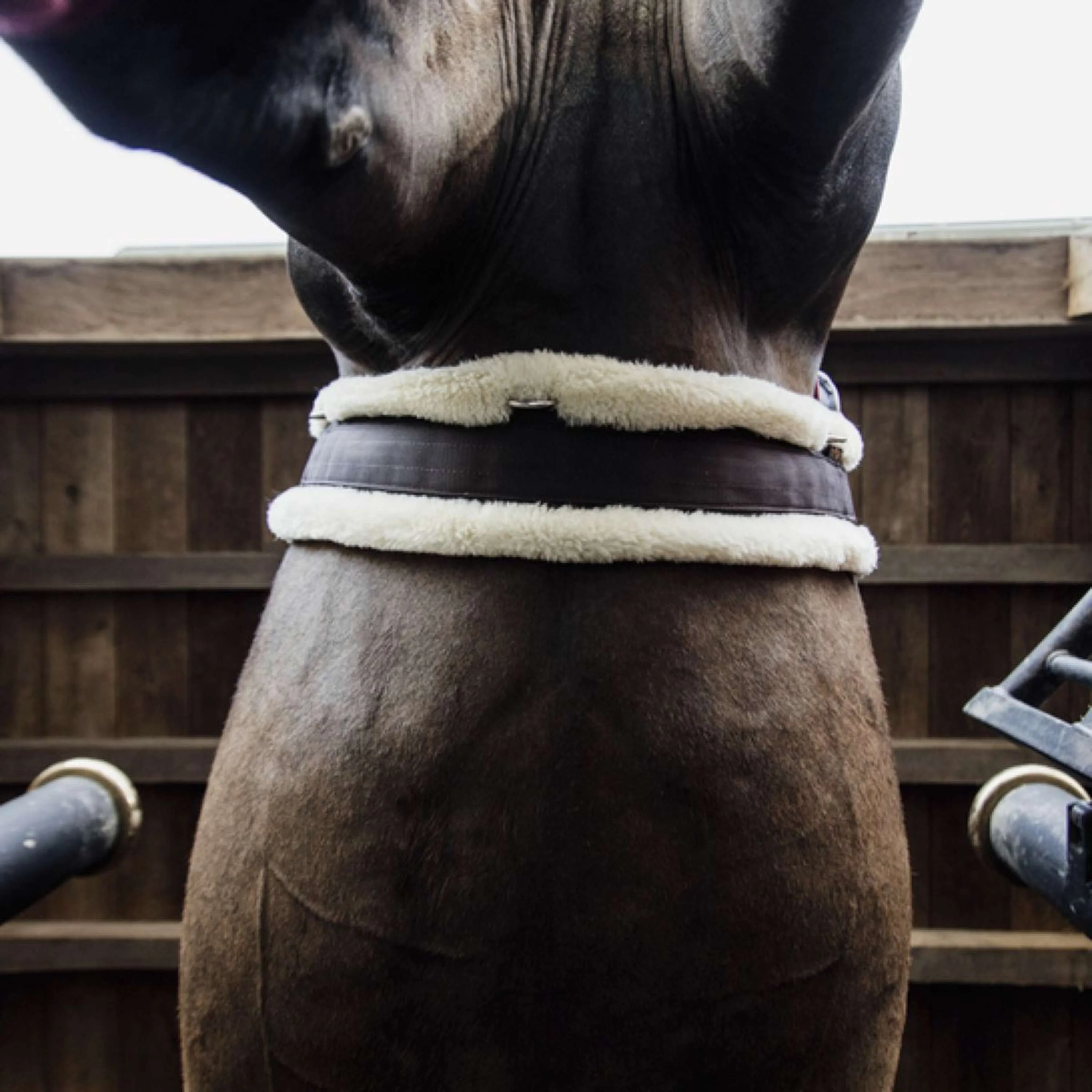 Kentucky Horsewear Sottopancia Polivalente Sheepskin Marrone/Naturale - Image 2