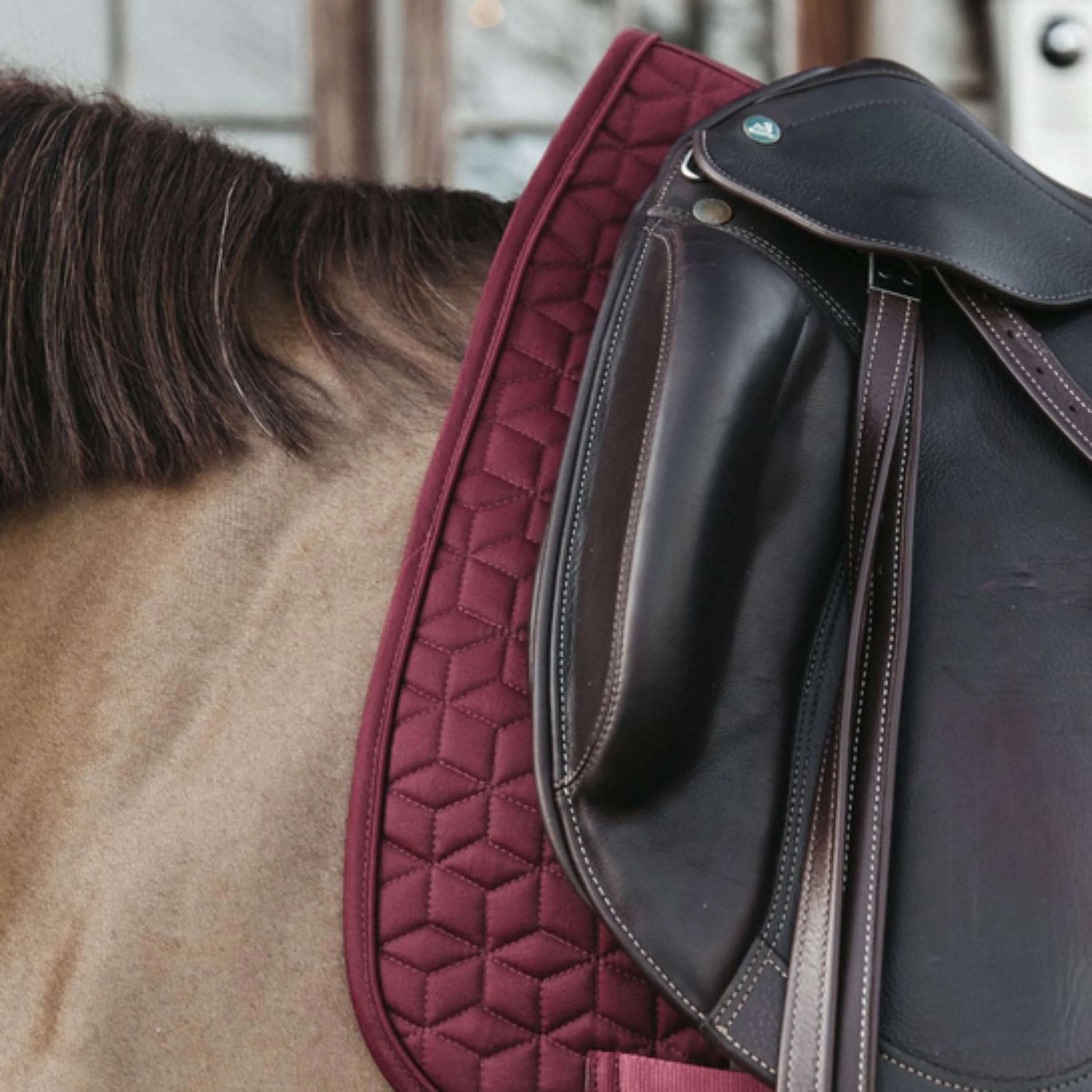 Kentucky Horsewear Sottosella Classic Bordeaux - Image 3