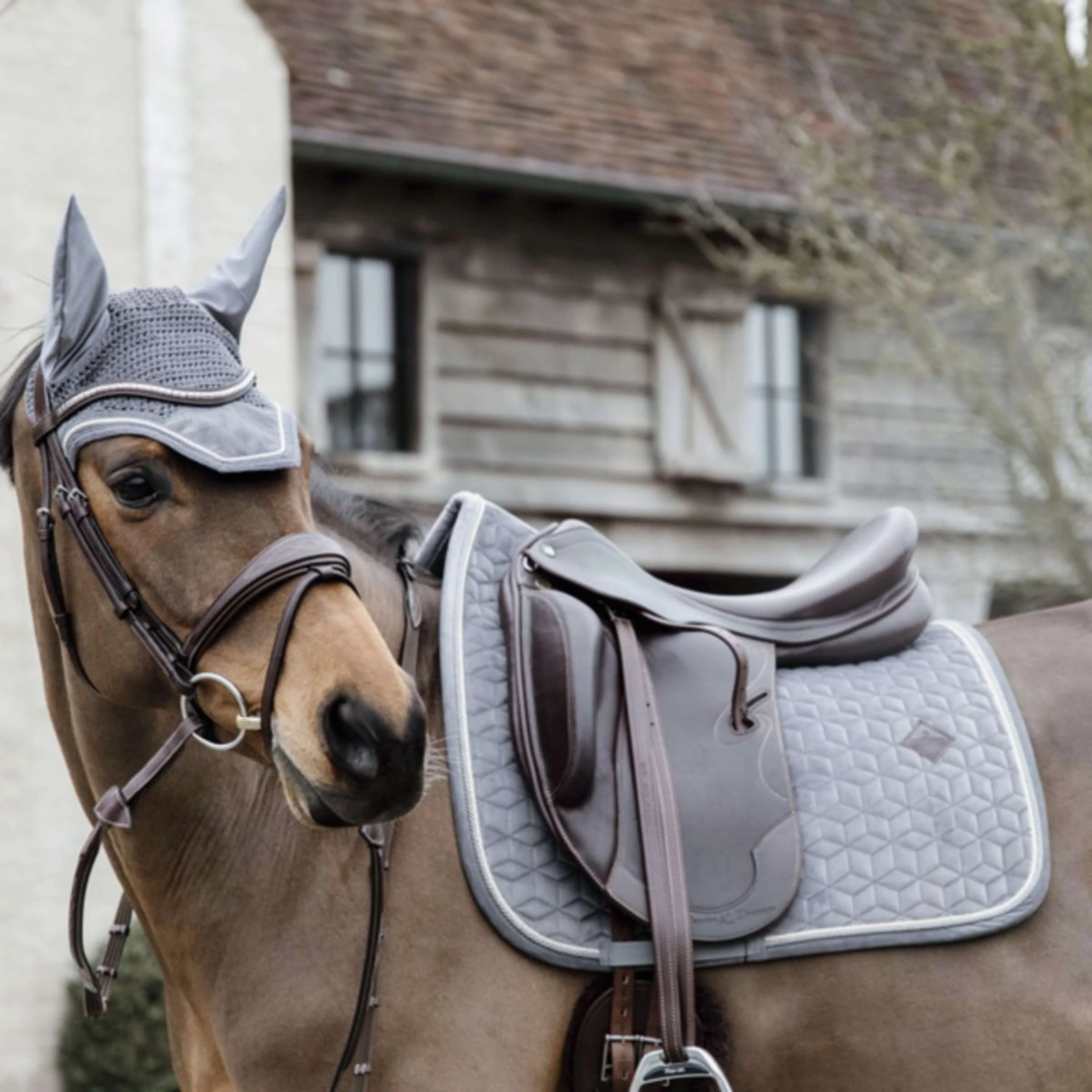 Kentucky Horsewear Sottosella Basic Velvet Dressage Grigio - Image 3