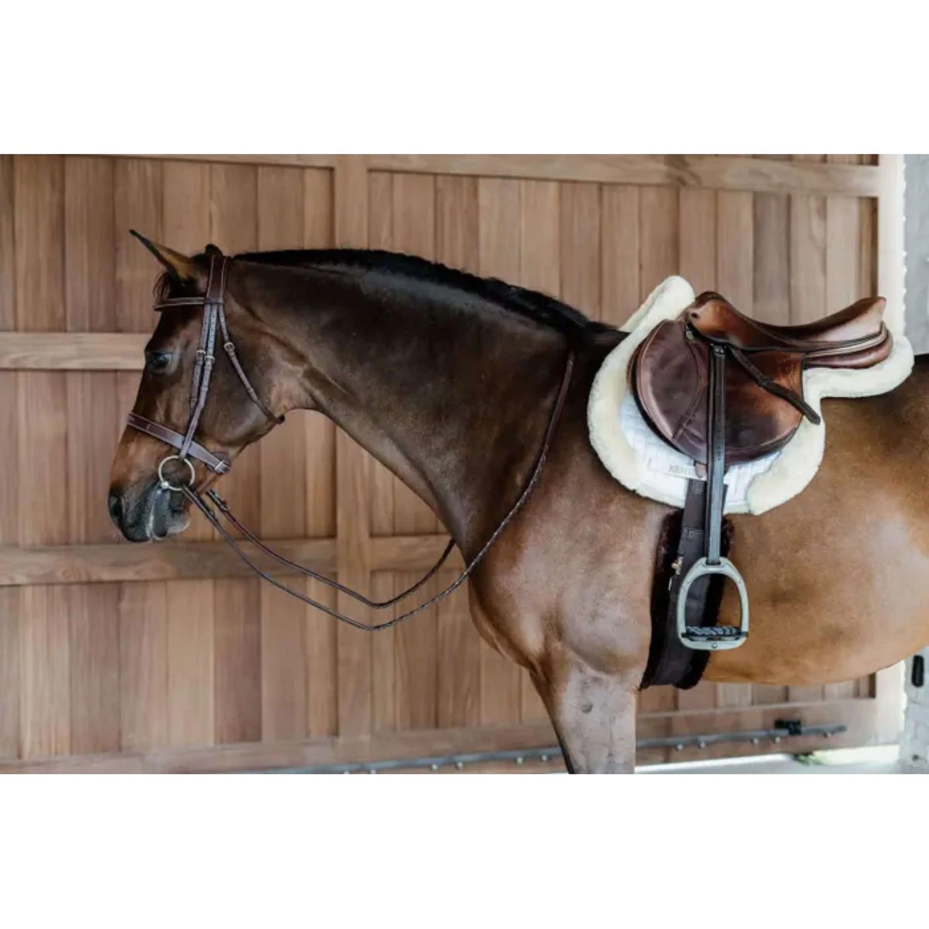 Kentucky Horsewear Sottosella da Salto Hunter Naturale - Image 2