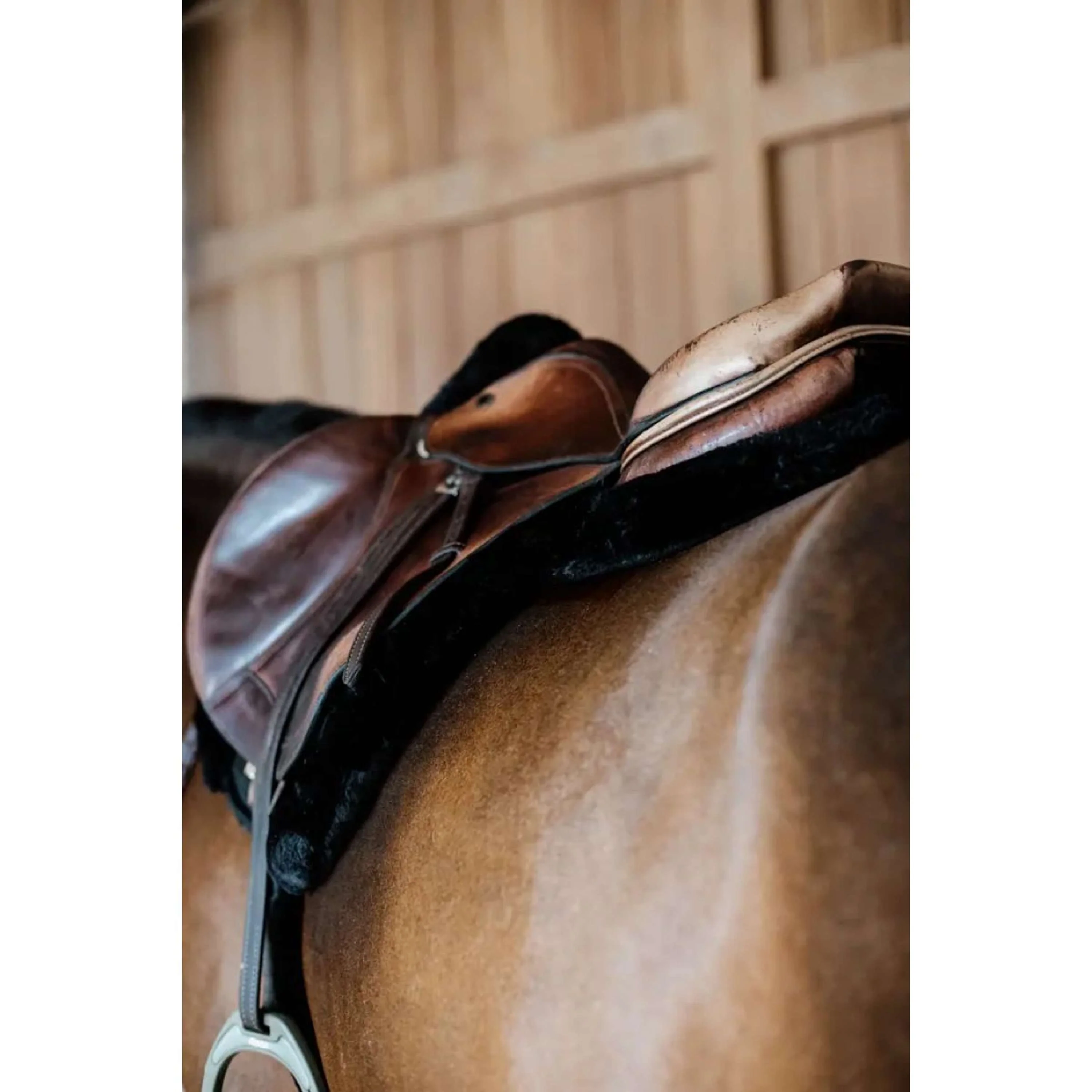 Kentucky Horsewear Sottosella da Salto Hunter Nero - Image 4
