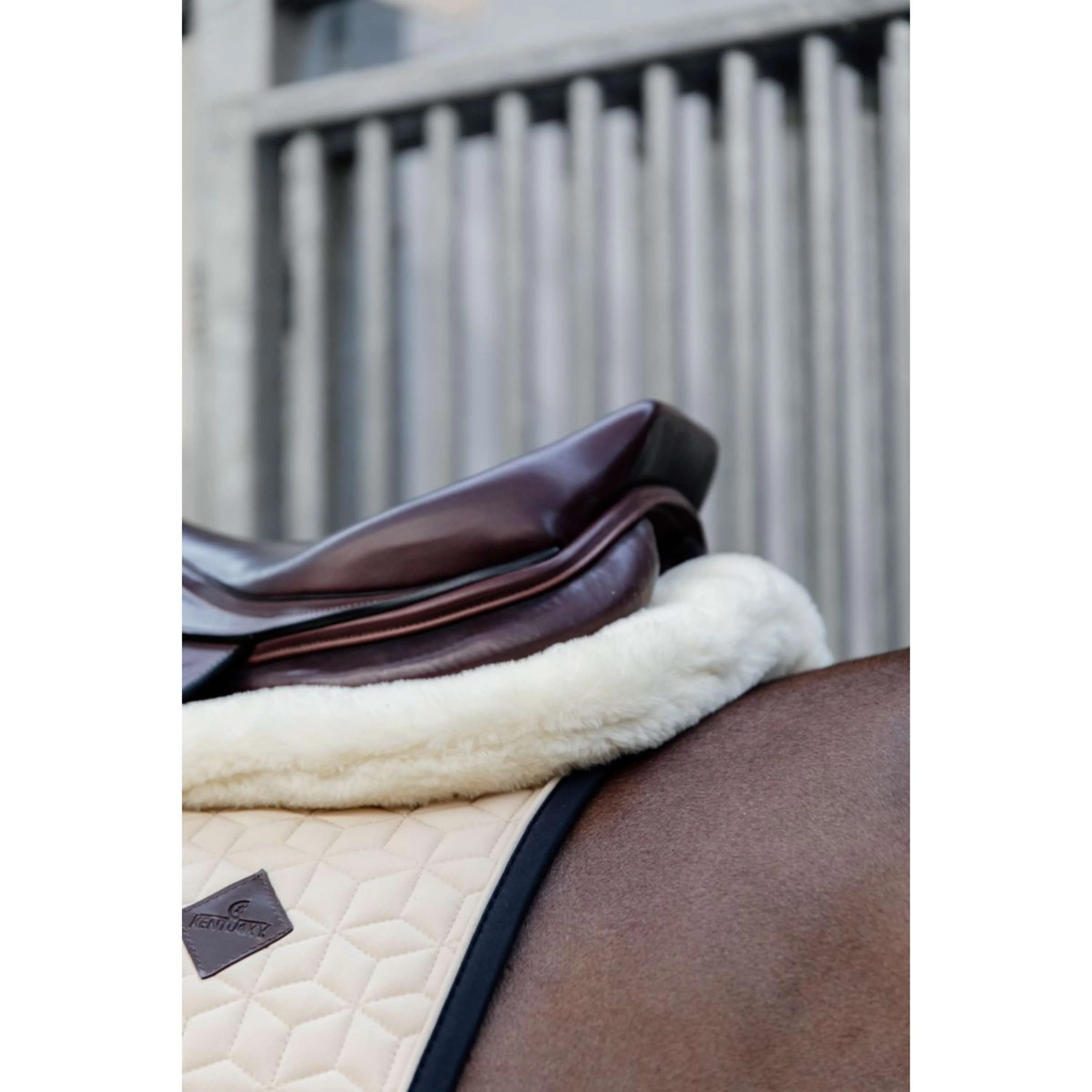 Kentucky Horsewear Sottosella Impact Equalizer Nero - Image 6