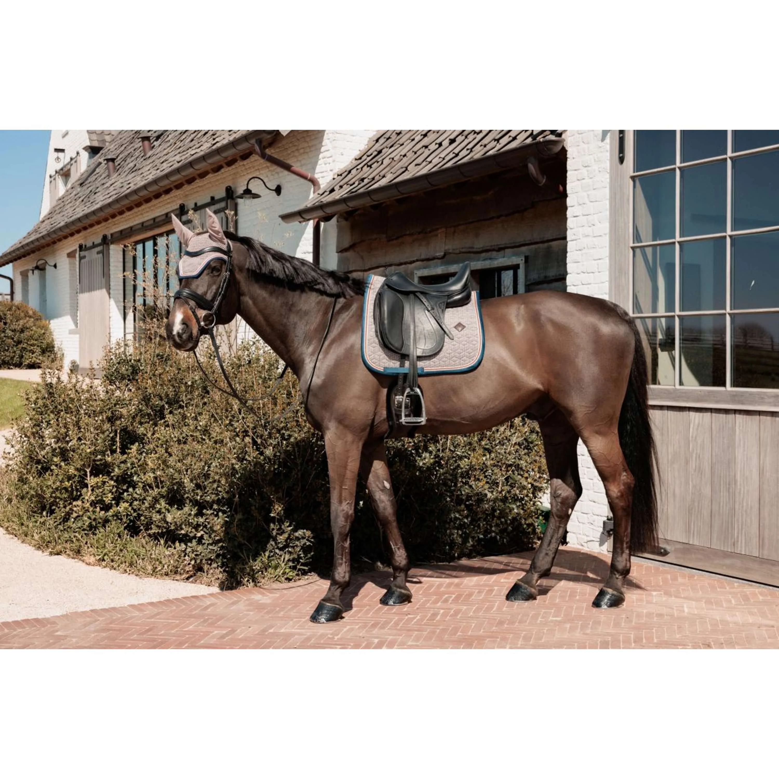 Kentucky Horsewear Sottosella Pied-de-Poule Dressage Bordeaux/Navy - Image 5