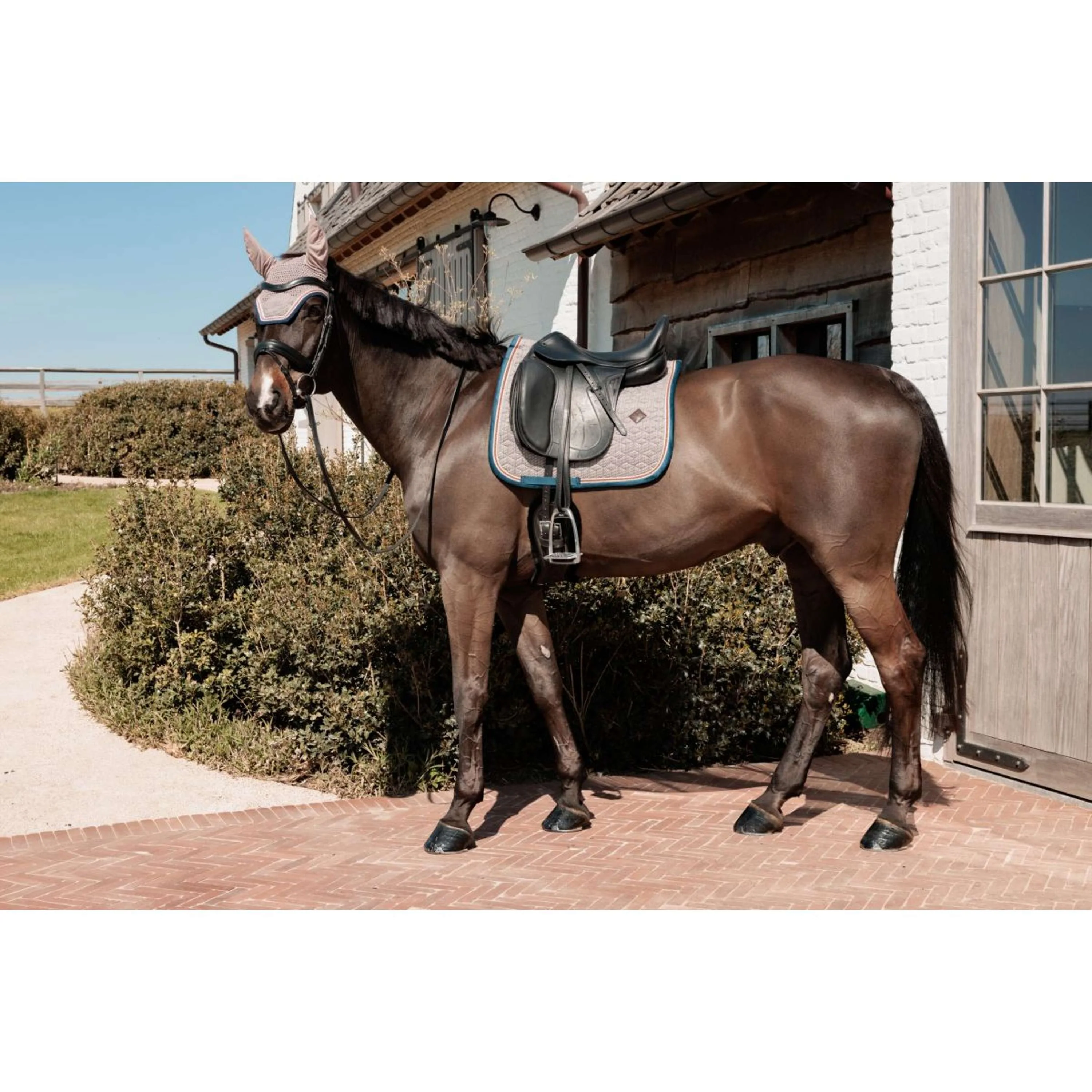 Kentucky Horsewear Sottosella Pied-de-Poule Dressage Bordeaux/Navy - Image 6