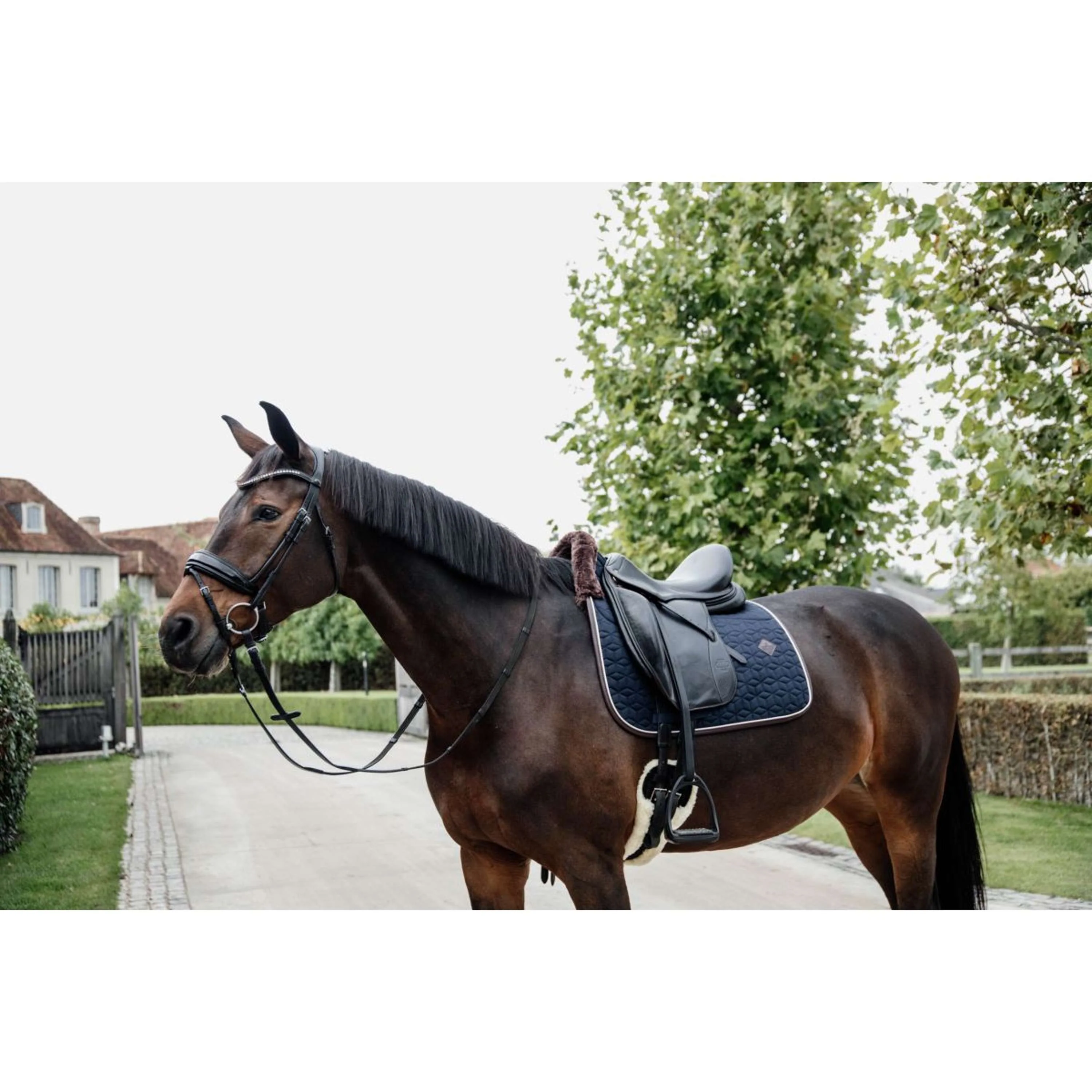 Kentucky Horsewear Sottosella Skin Friendly Dressage Navy - Image 7