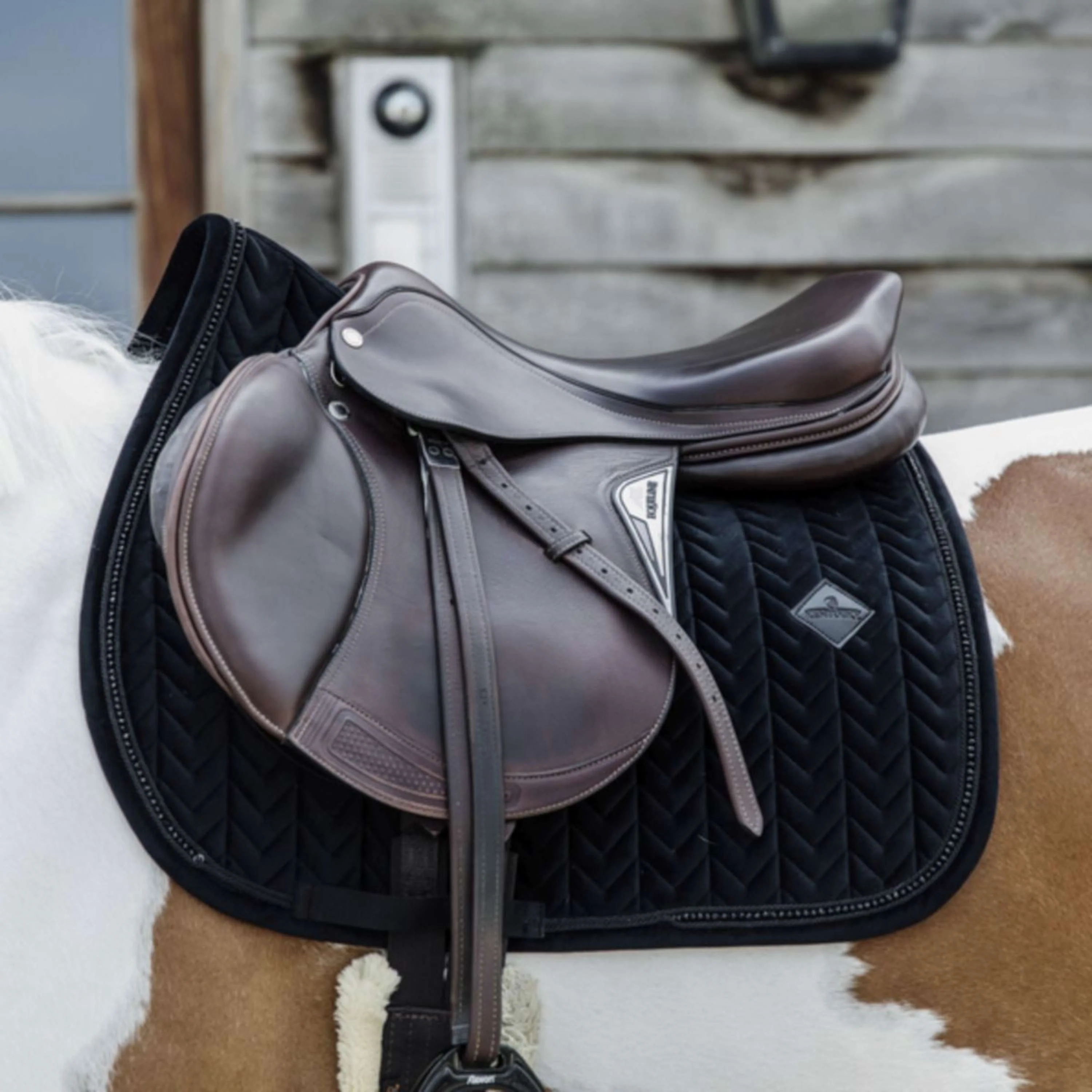 Kentucky Horsewear Sottosella Velvet Pearls Saltando Nero - Image 2