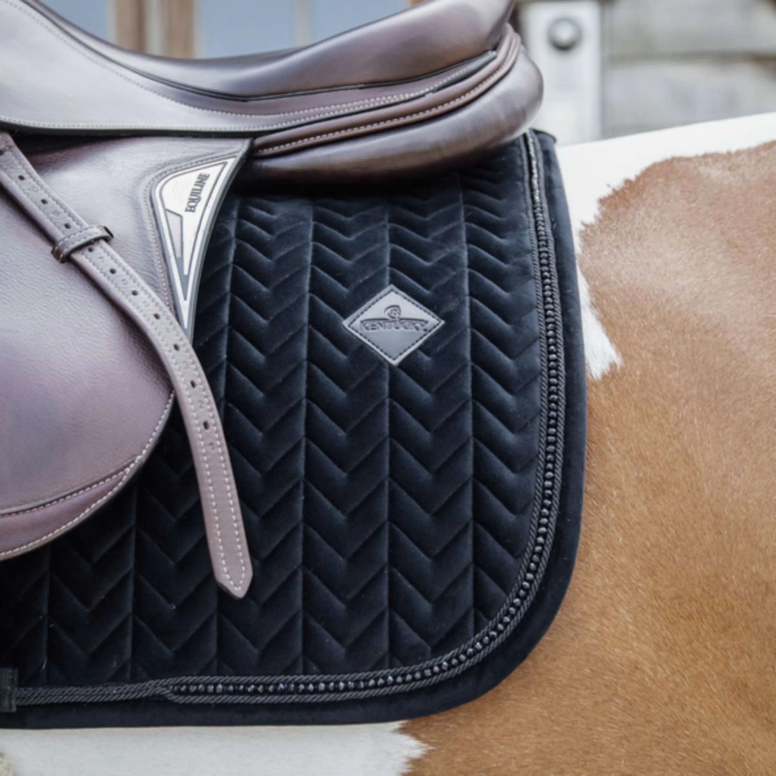 Kentucky Horsewear Sottosella Velvet Pearls Saltando Nero - Image 5