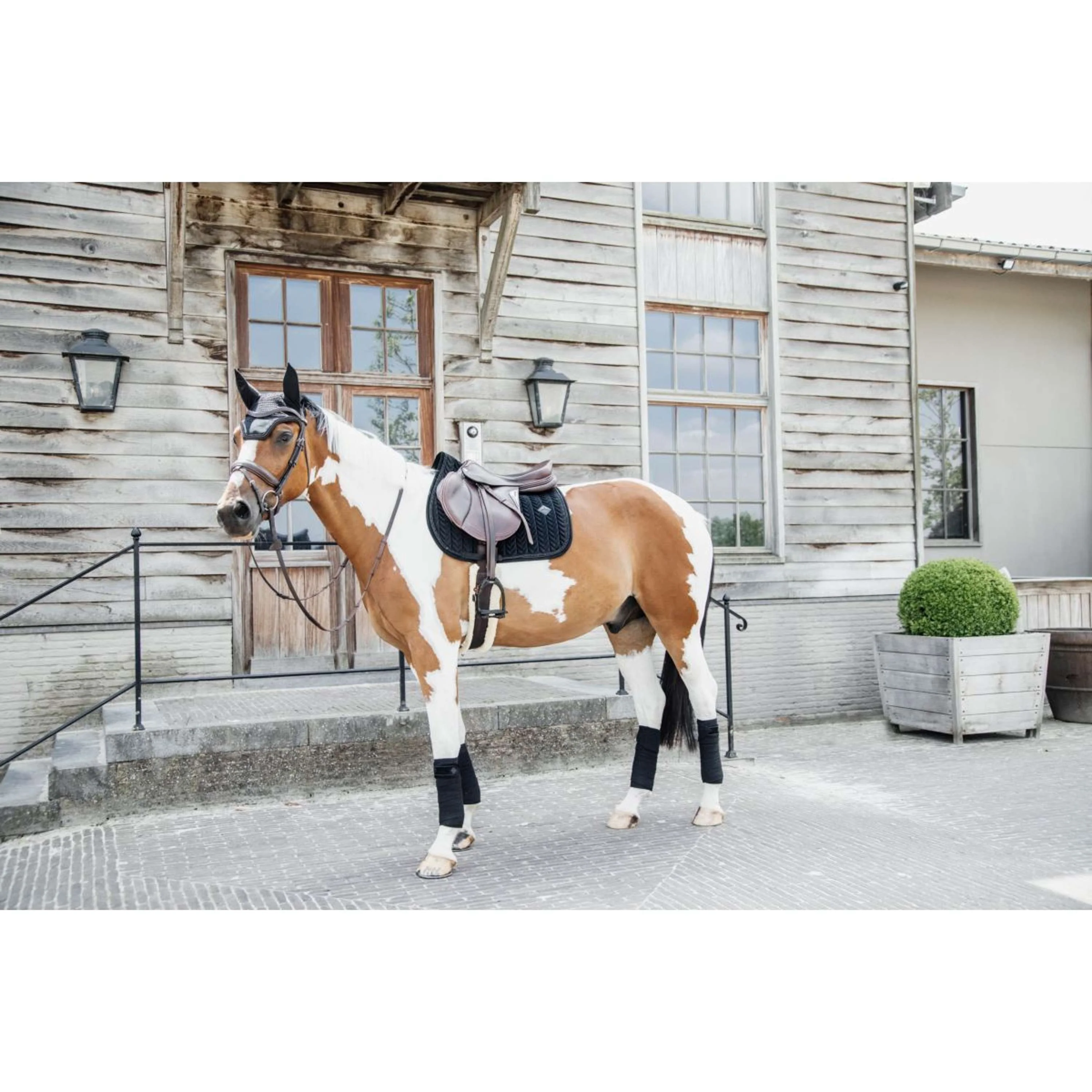 Kentucky Horsewear Sottosella Velvet Pearls Saltando Nero - Image 8