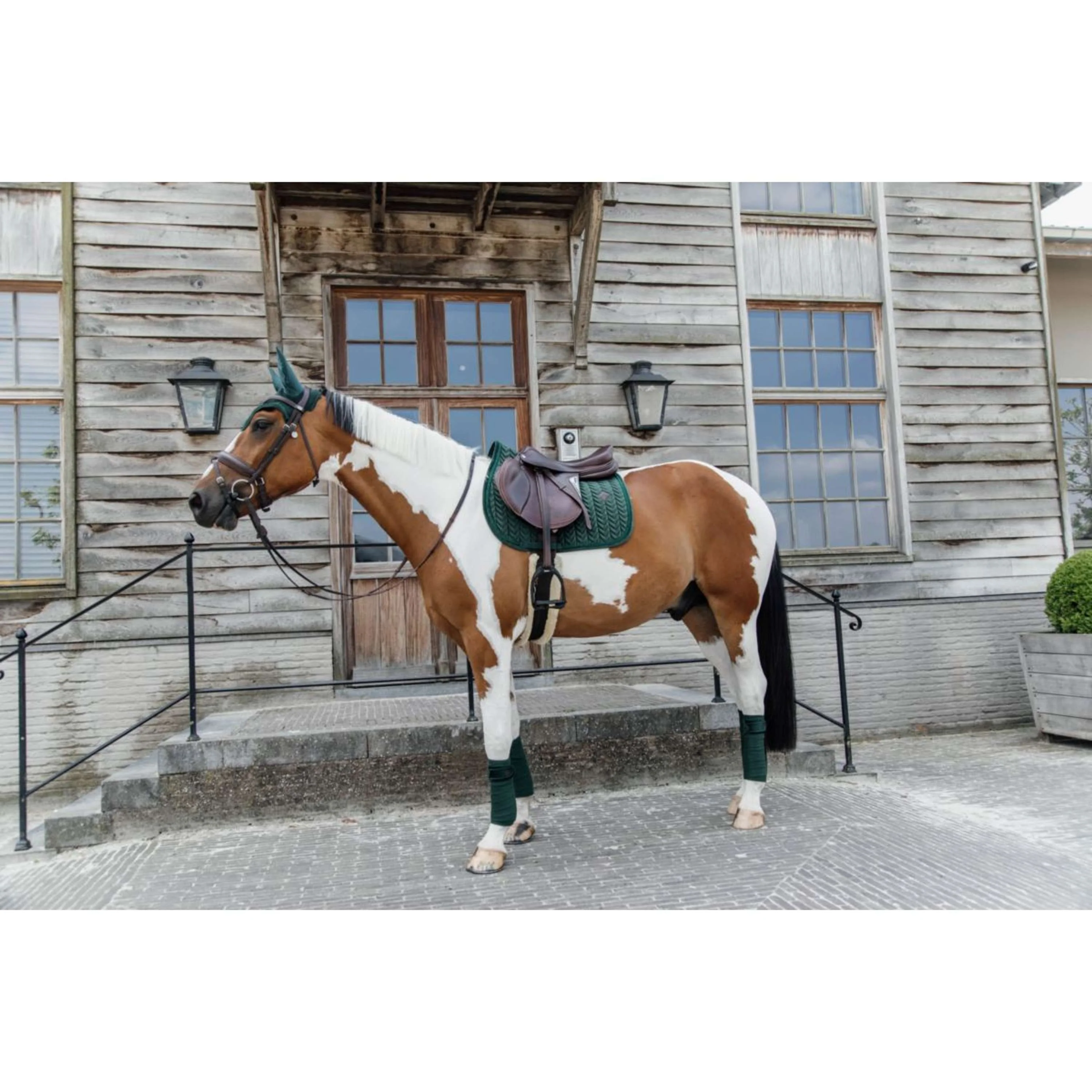 Kentucky Horsewear Sottosella Velvet Pearls Saltando Pine Green - Image 6