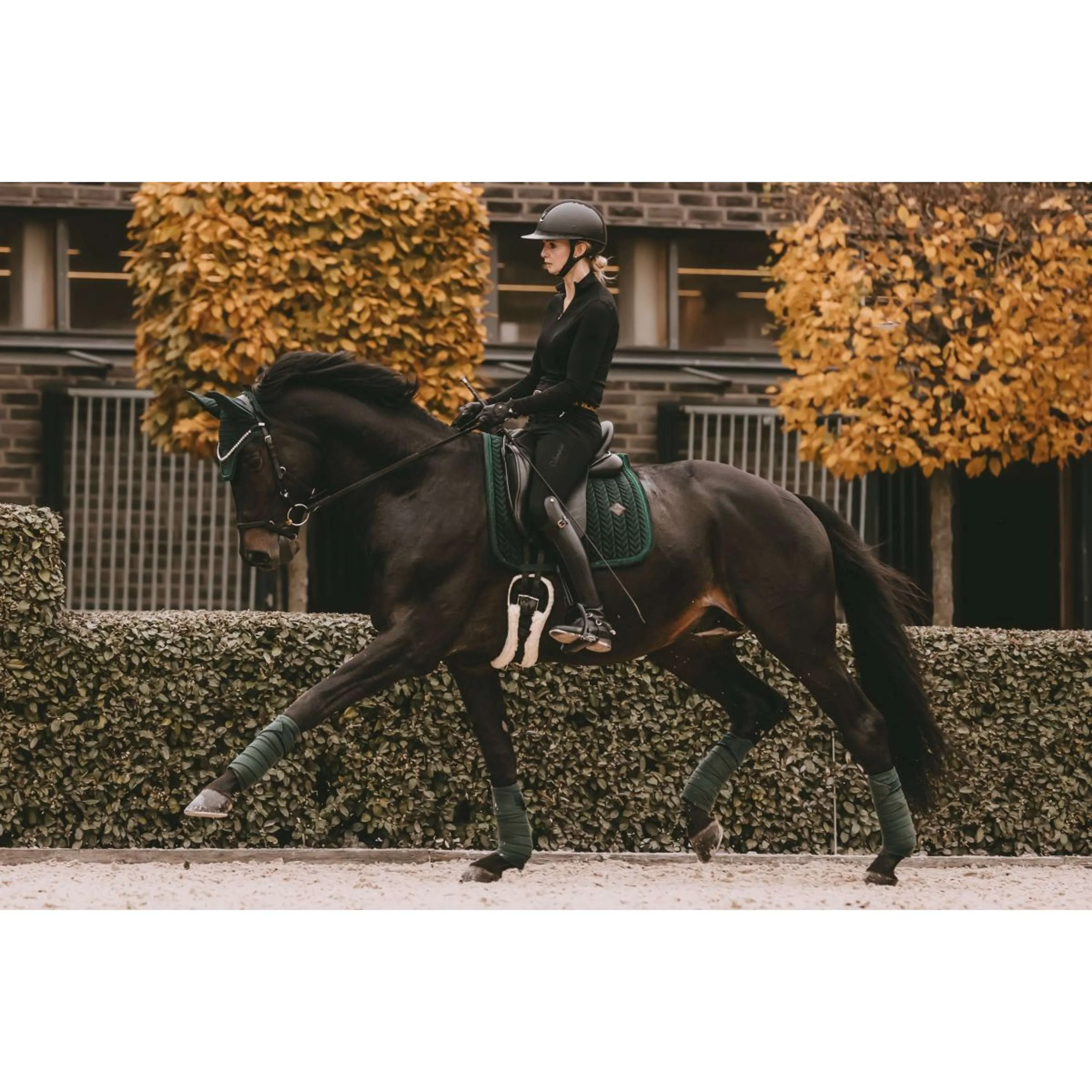 Kentucky Horsewear Sottosella Velvet Pearls Dressage Pine Green - Image 3